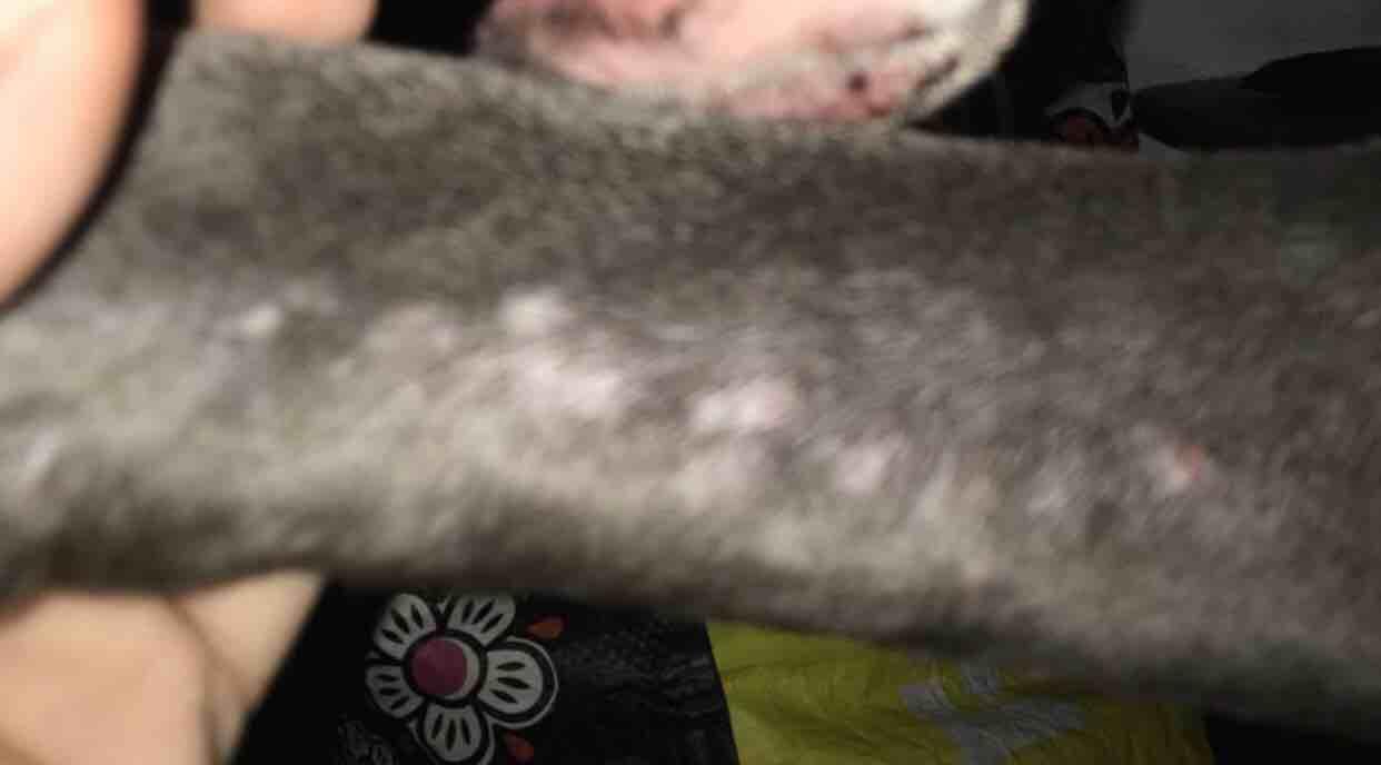 Question details sensitive content