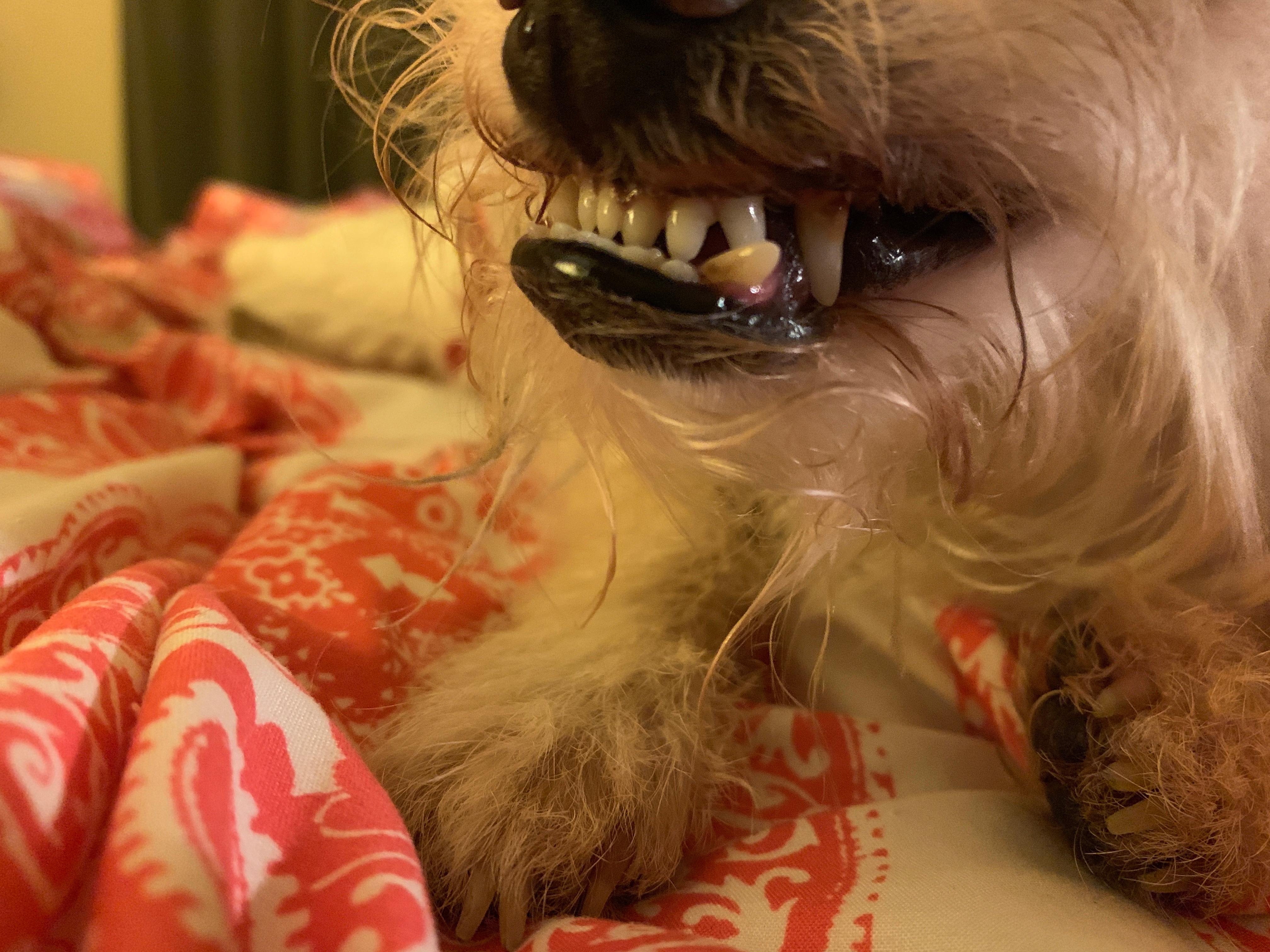 Question details sensitive content