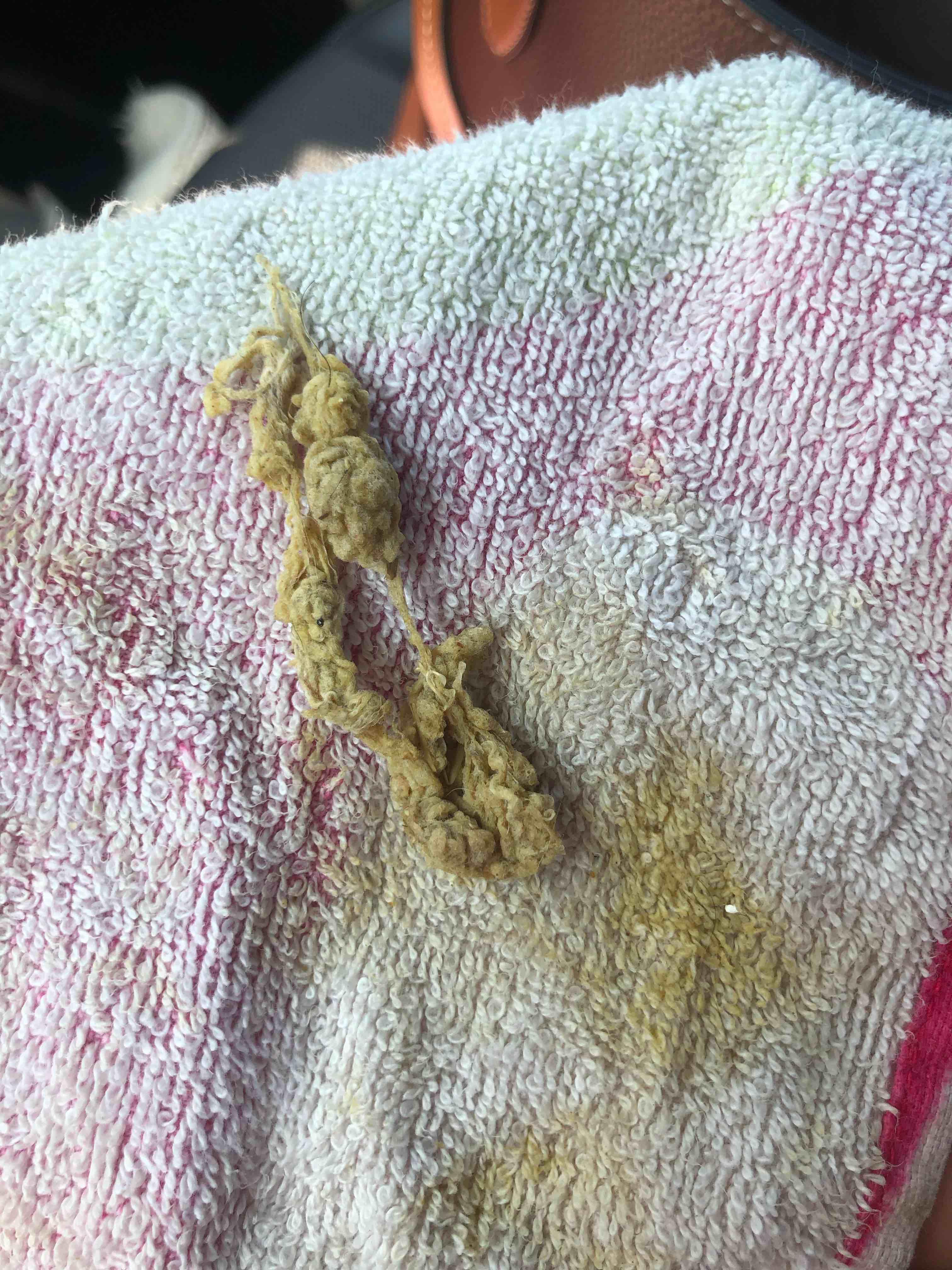 Question details sensitive content