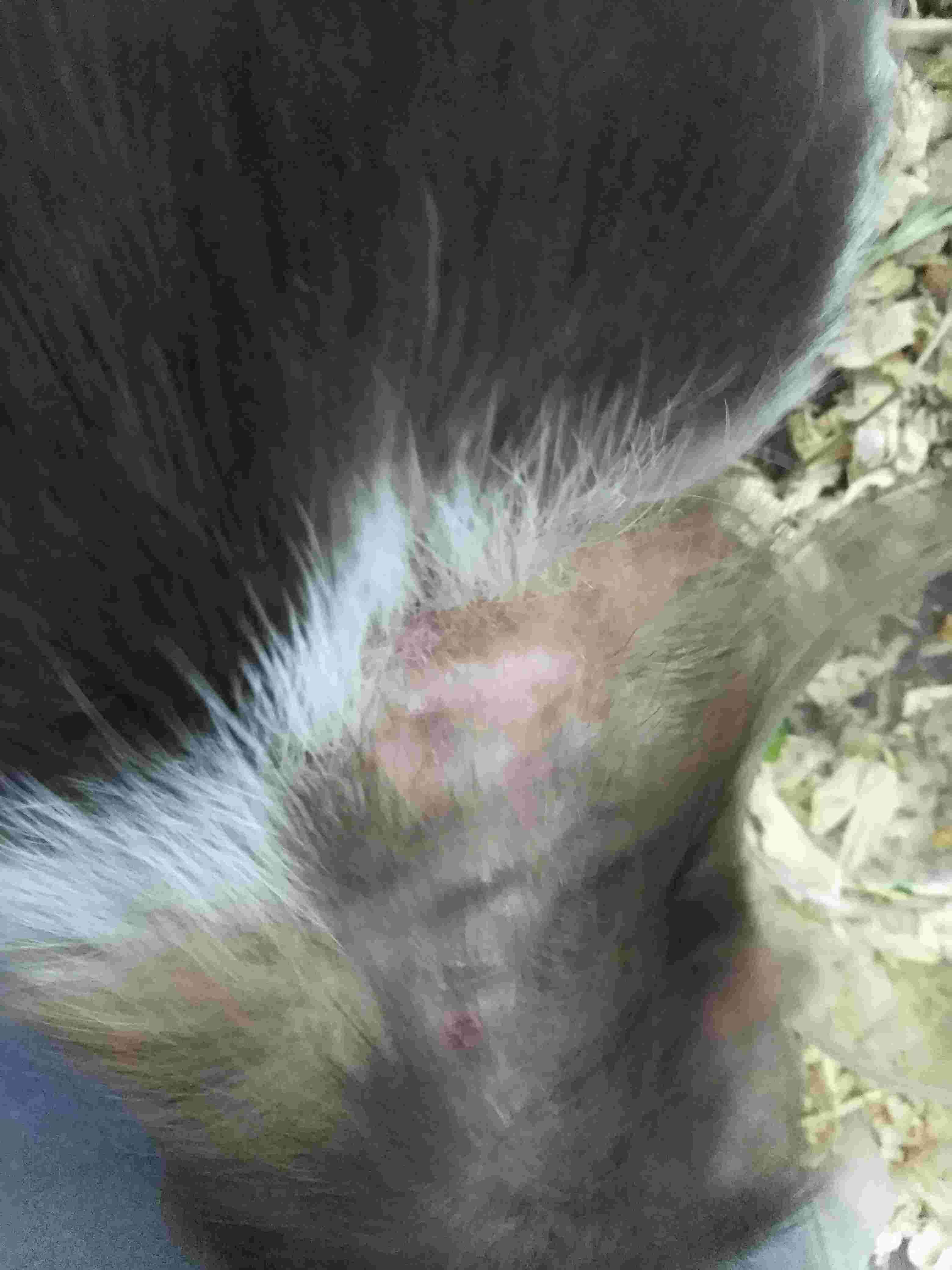 Question details sensitive content