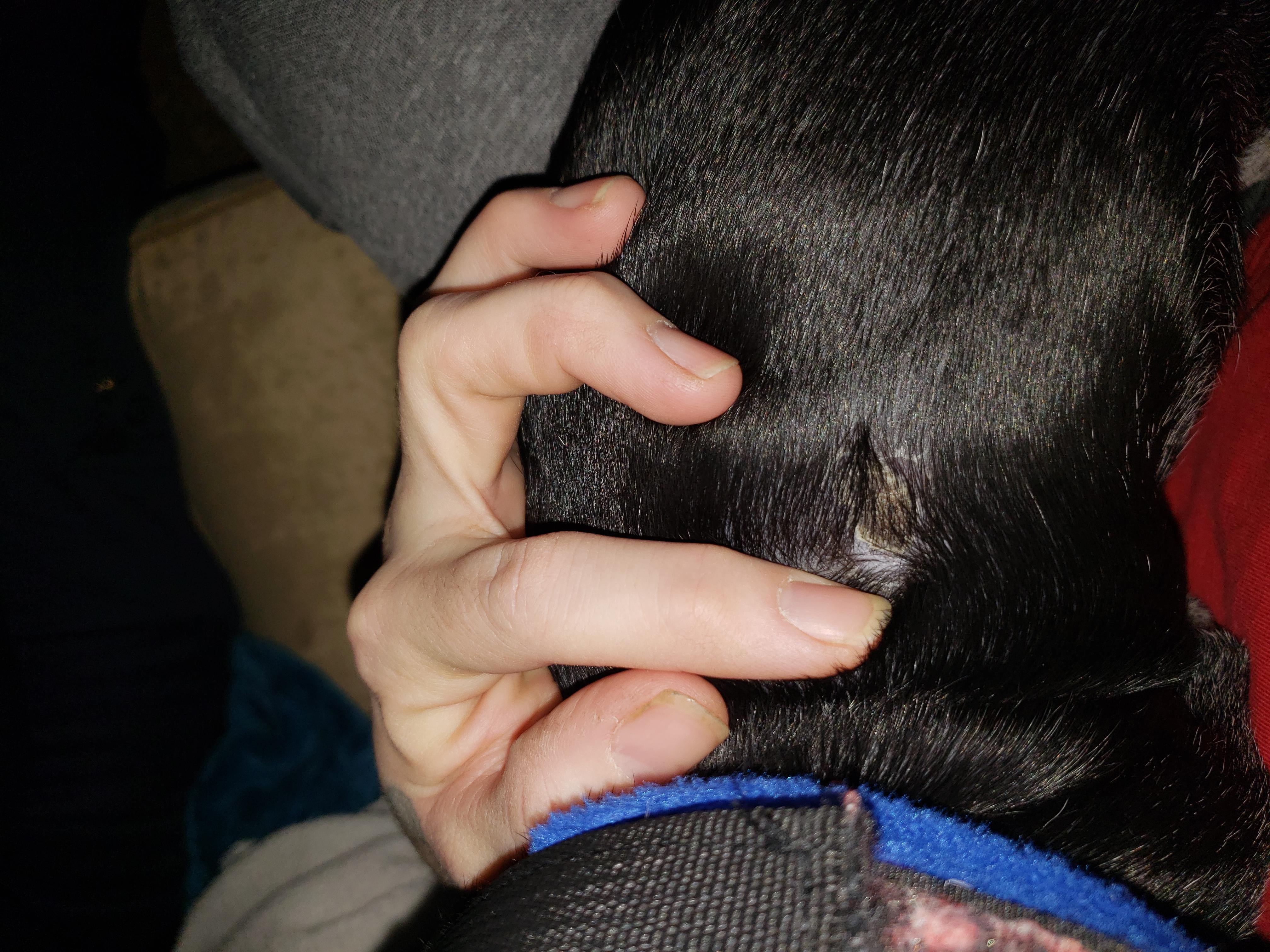 Question details sensitive content