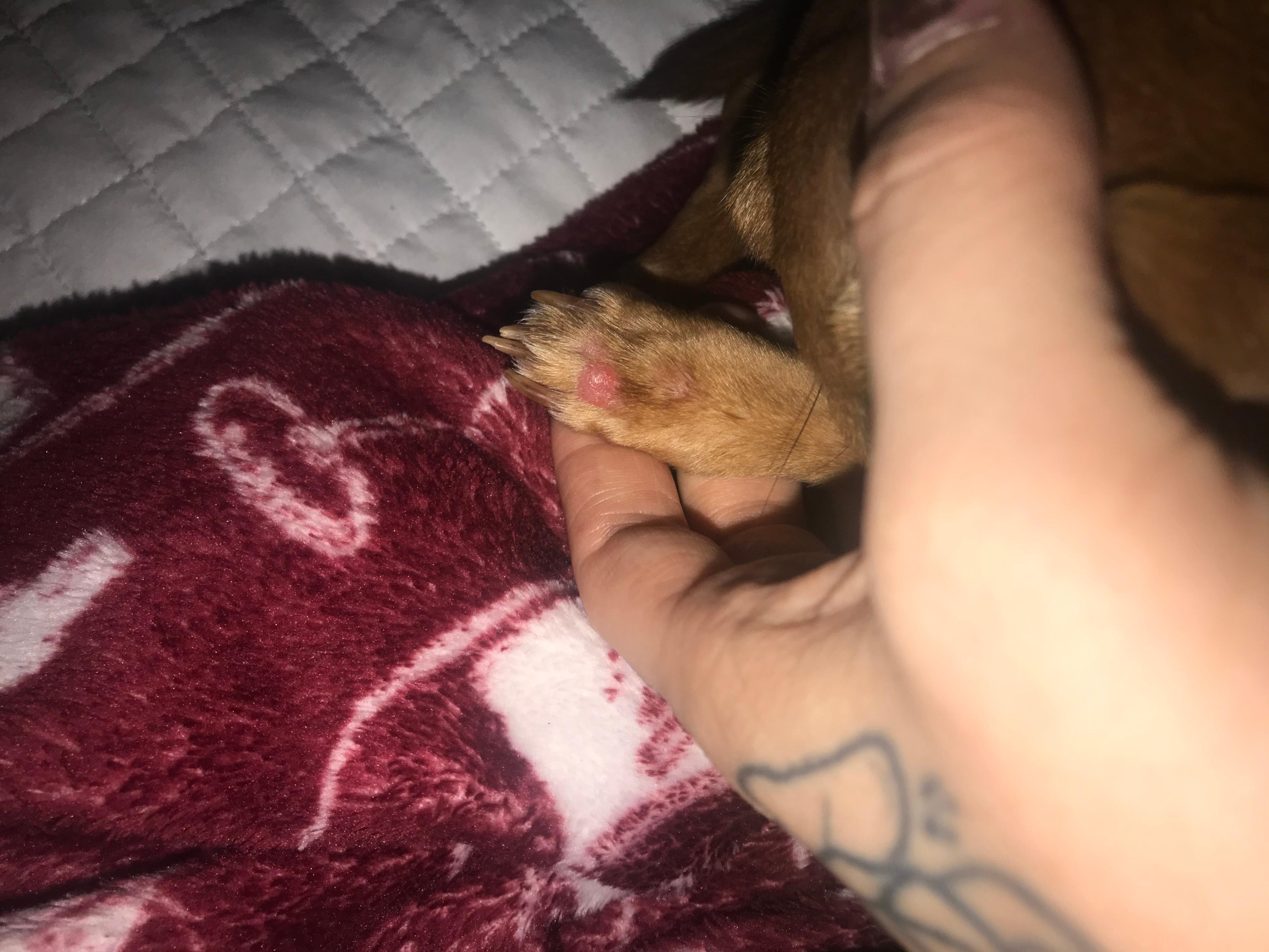 Question details sensitive content