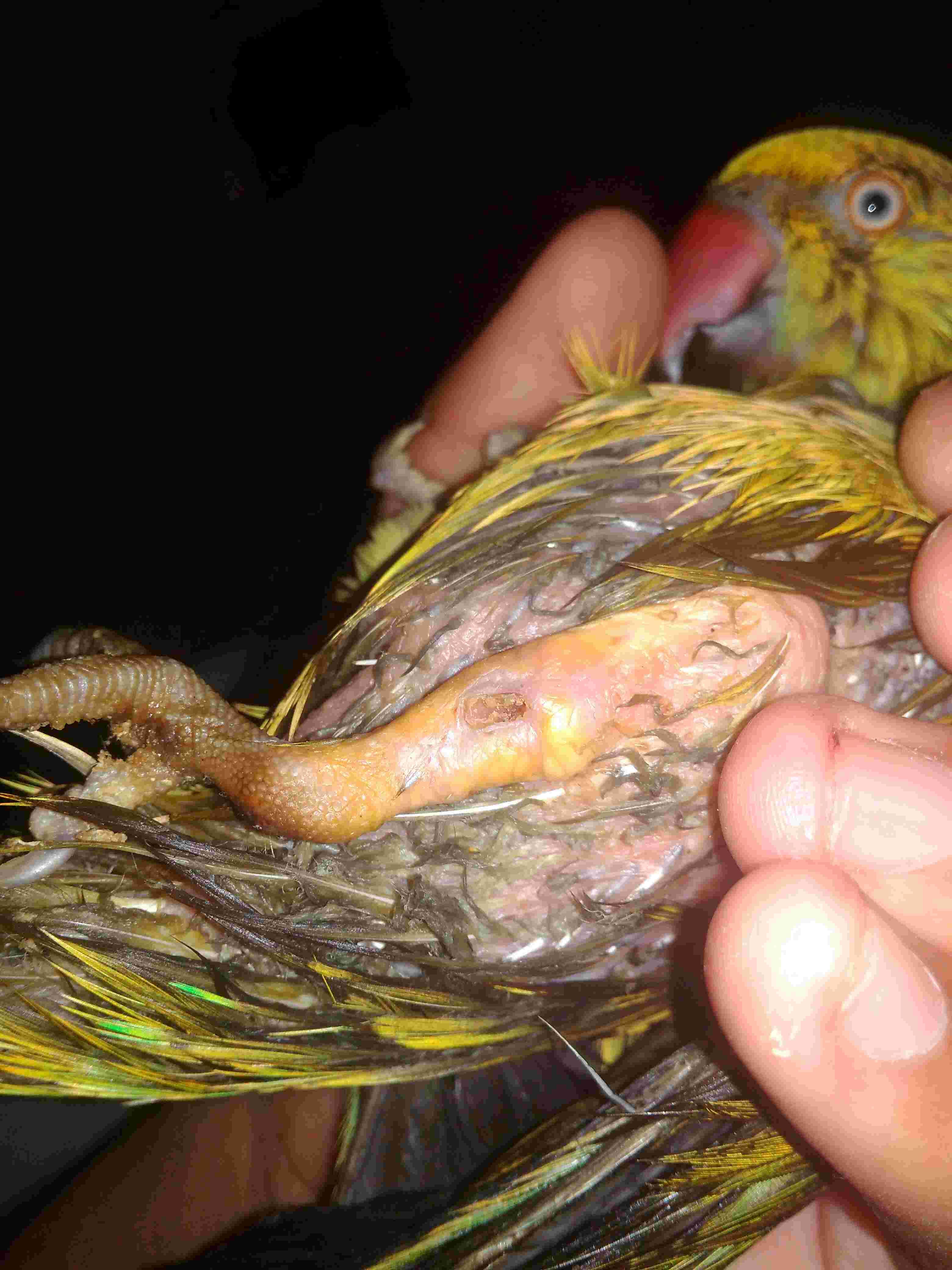 Question details sensitive content