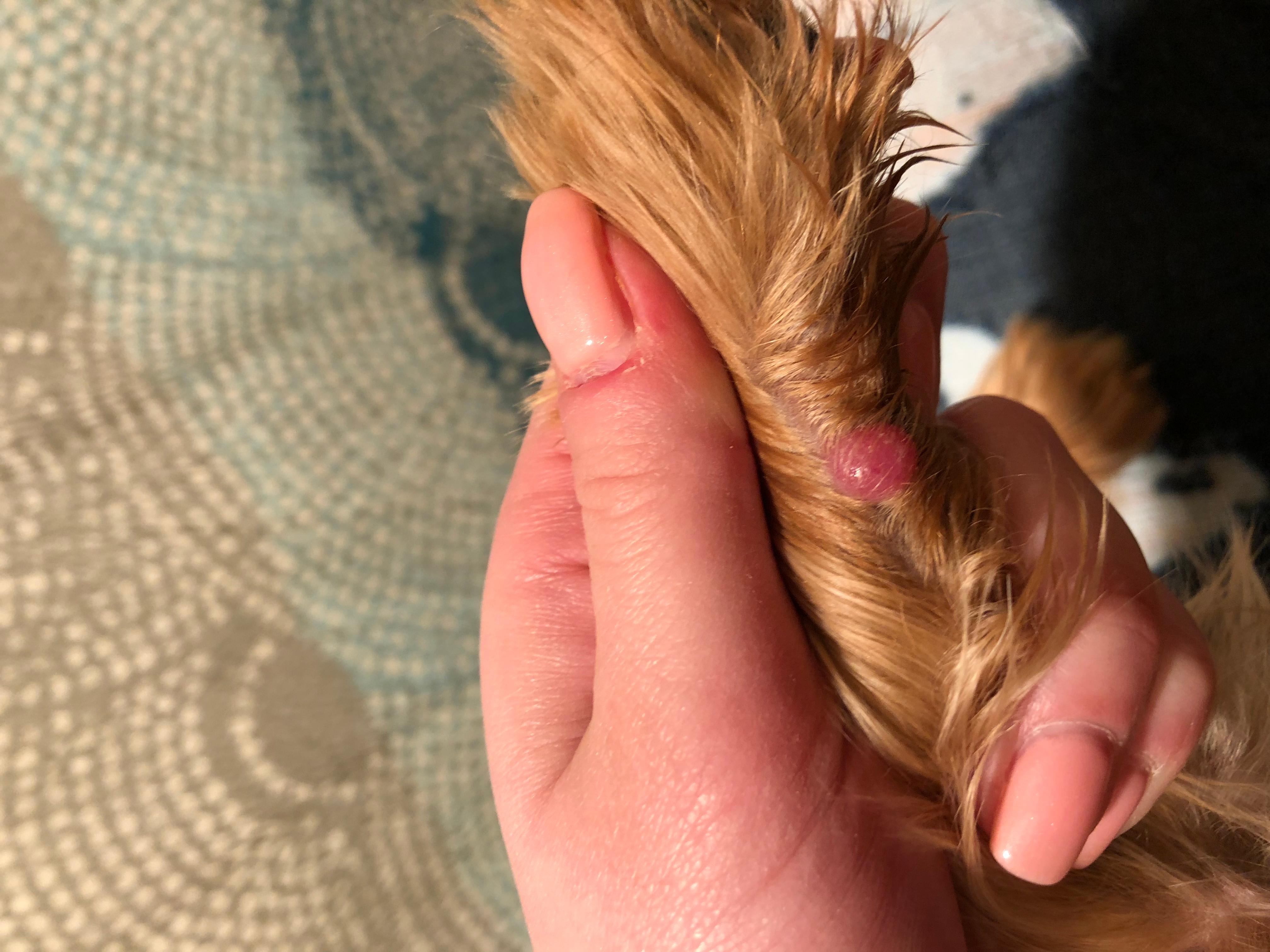 Question details sensitive content