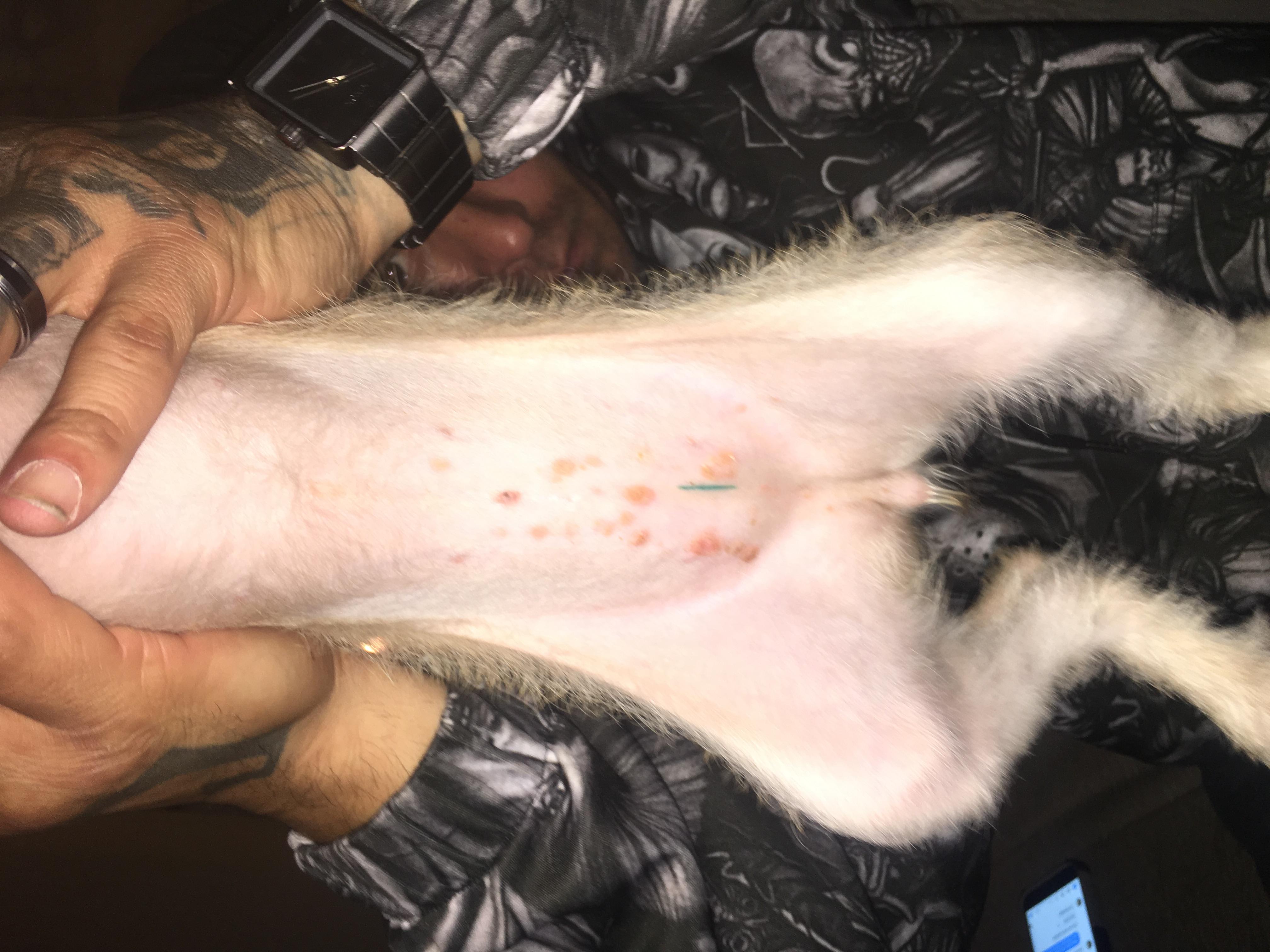 Question details sensitive content