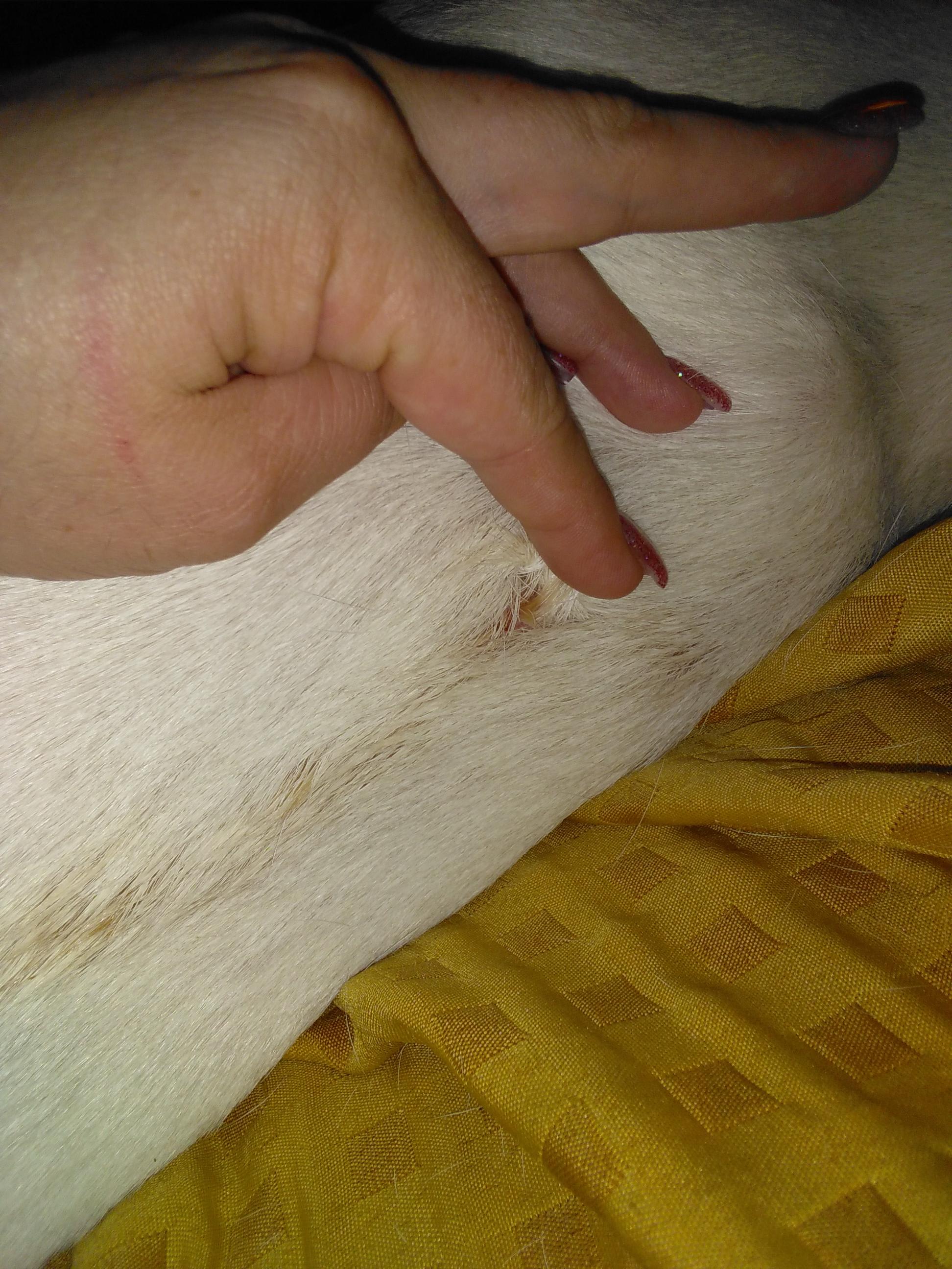 Question details sensitive content