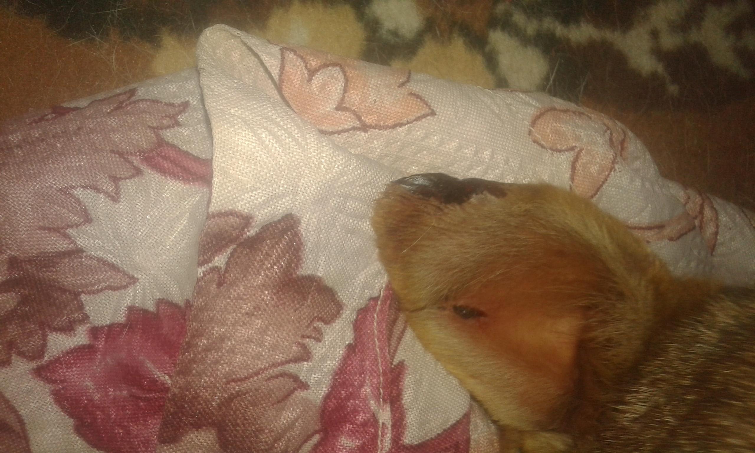 Question details sensitive content