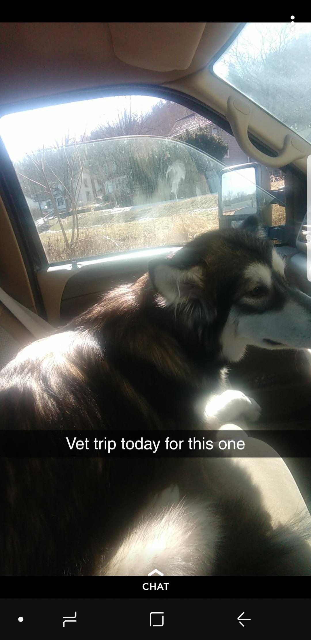 Question details sensitive content