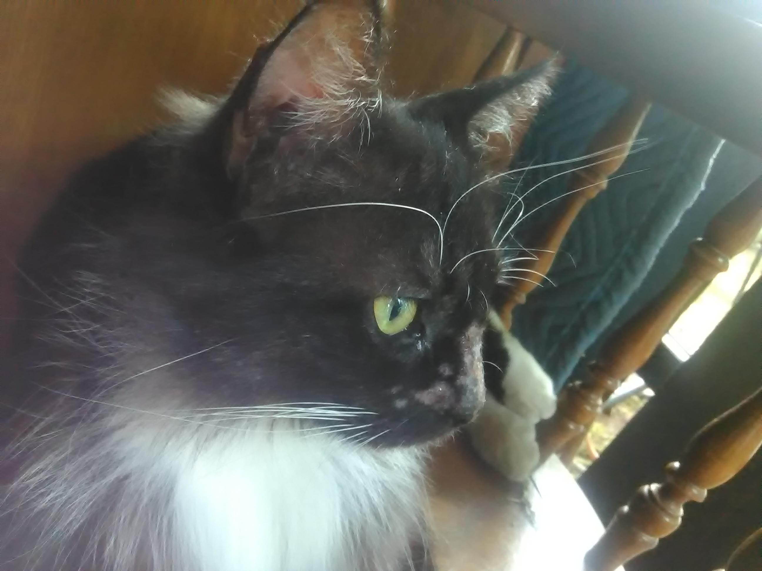 Question details sensitive content