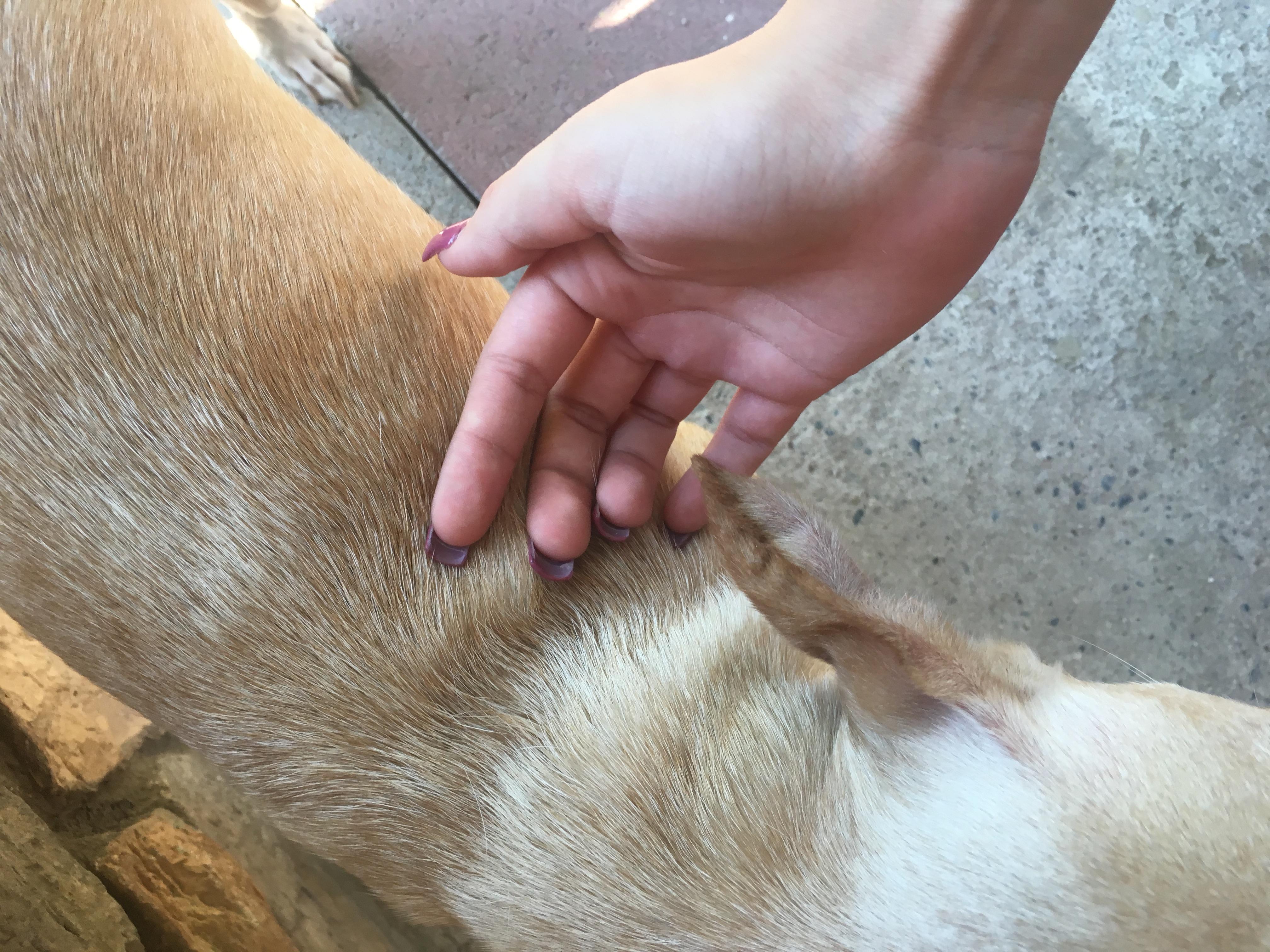 Question details sensitive content