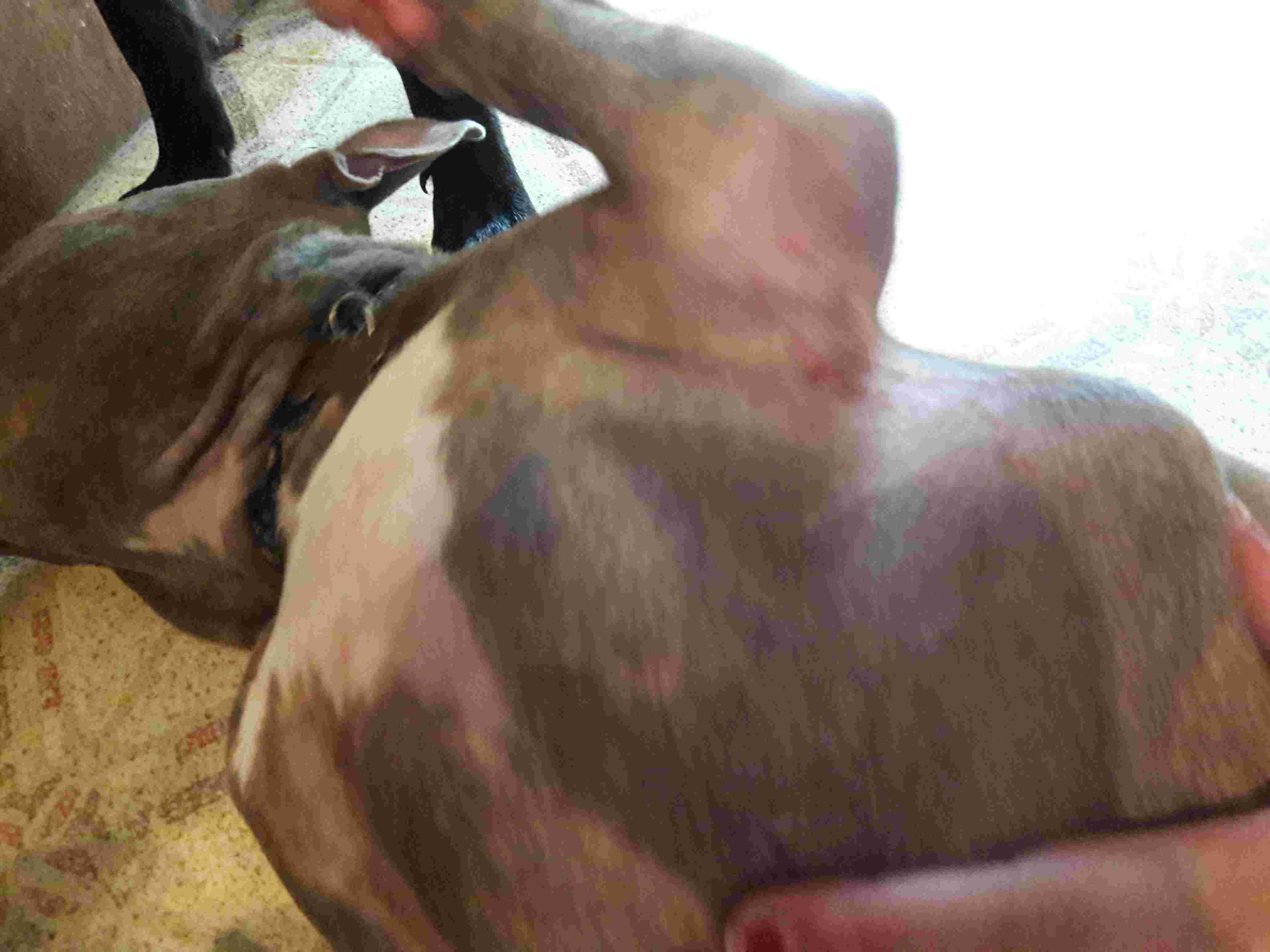 Question details sensitive content