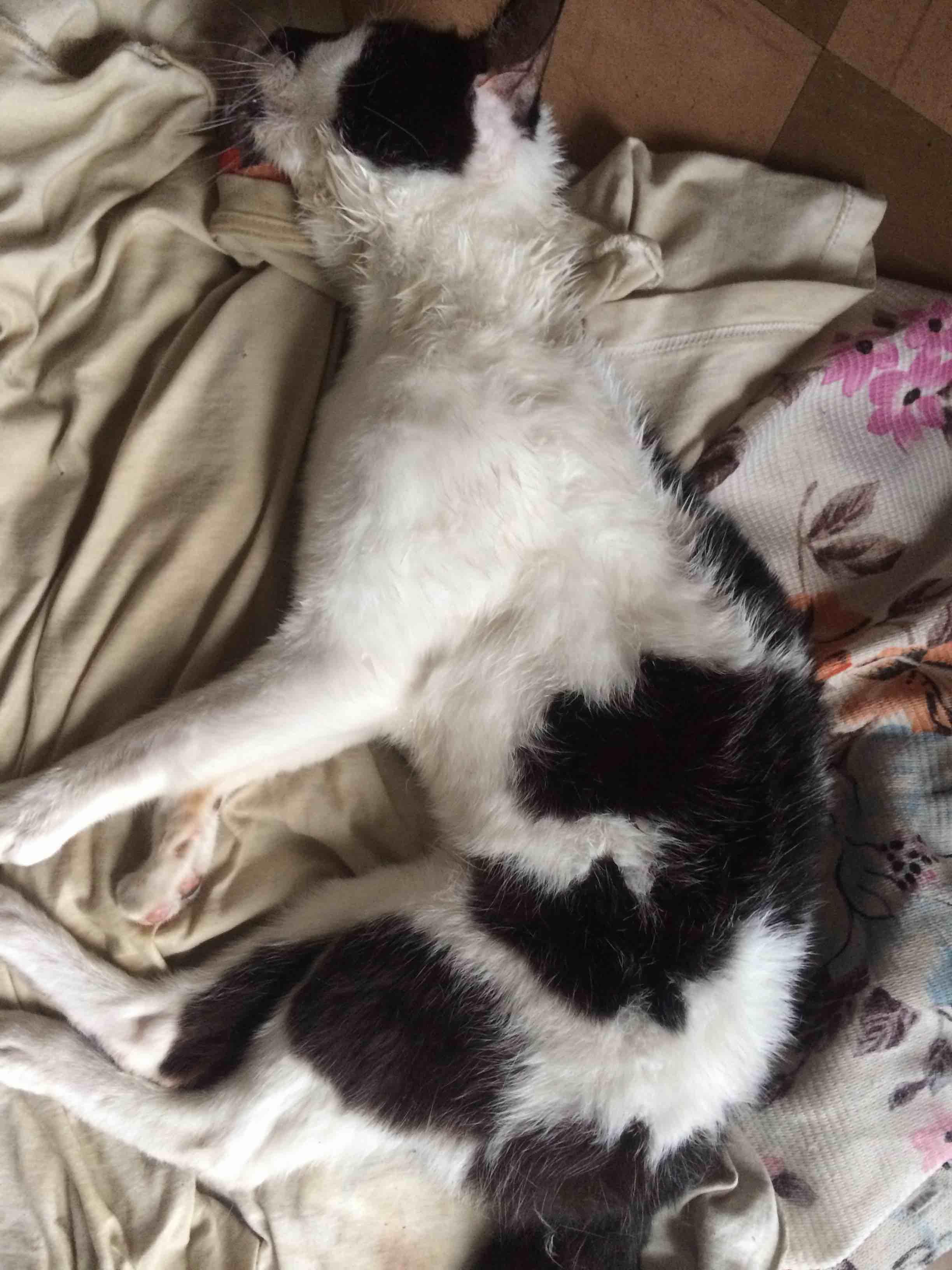 Question details sensitive content