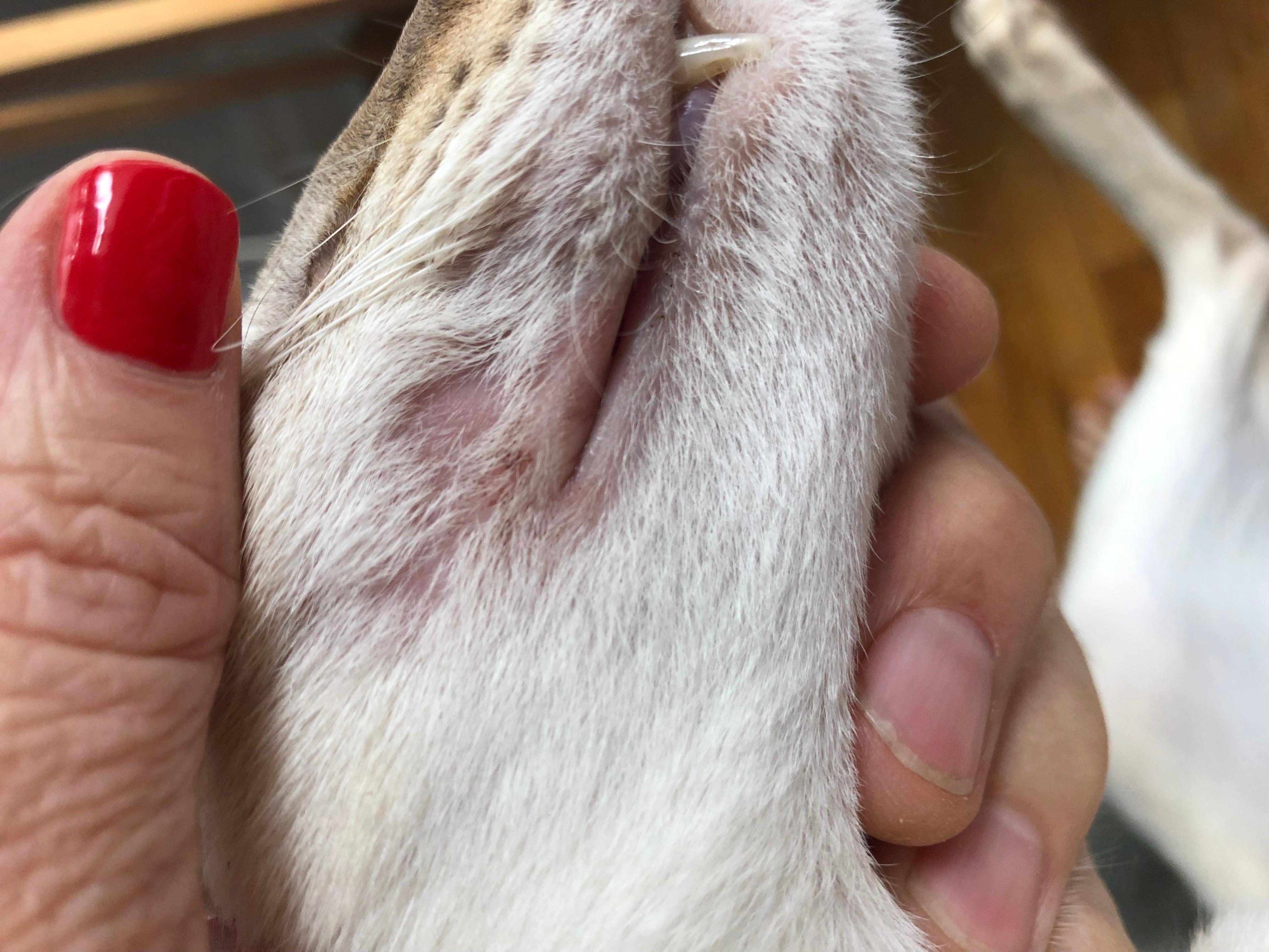 Question details sensitive content