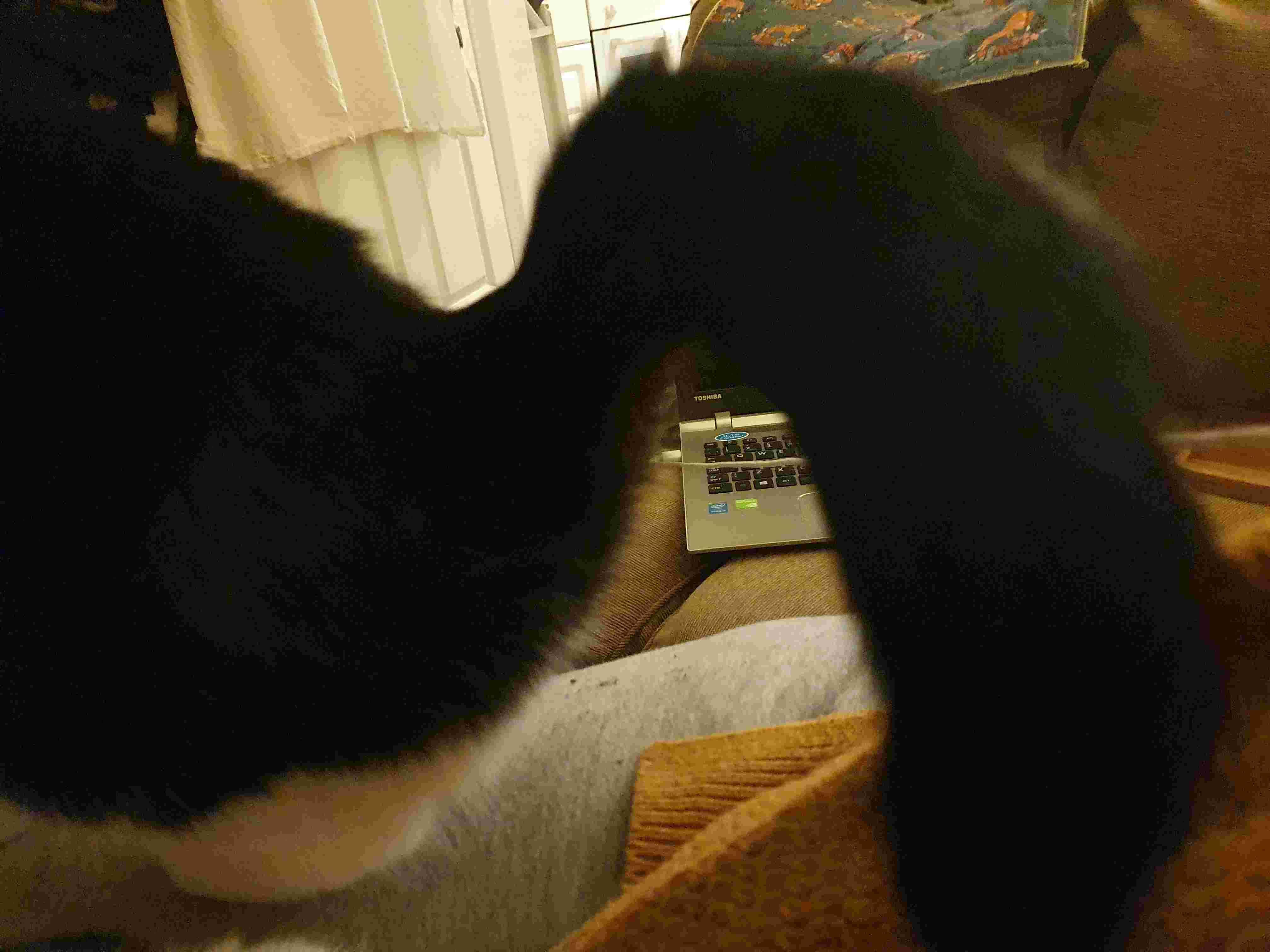 Question details sensitive content