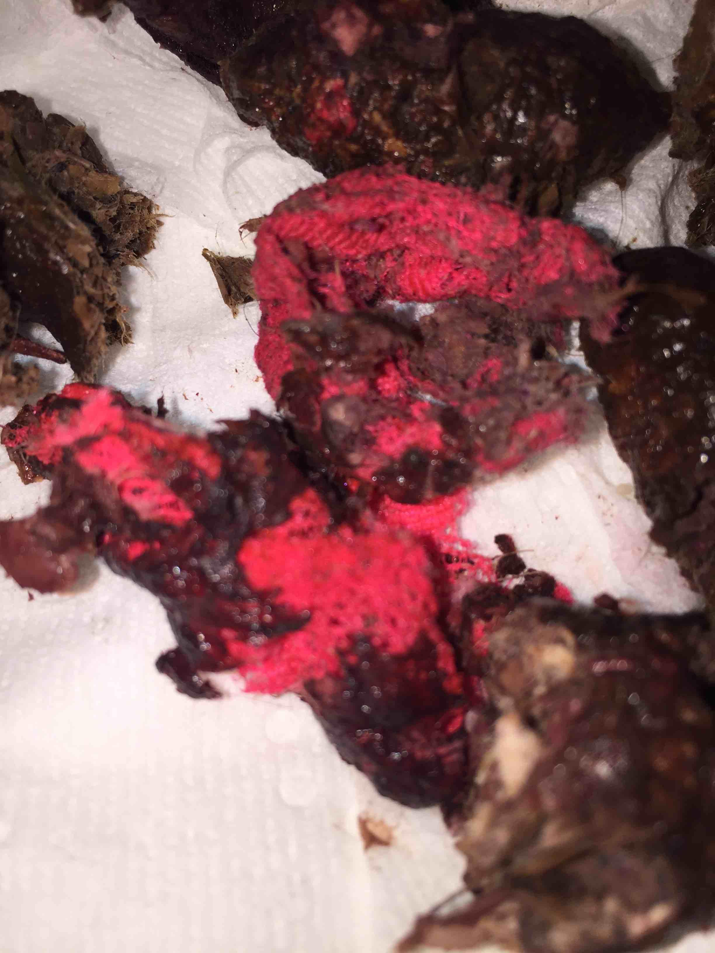 Question details sensitive content