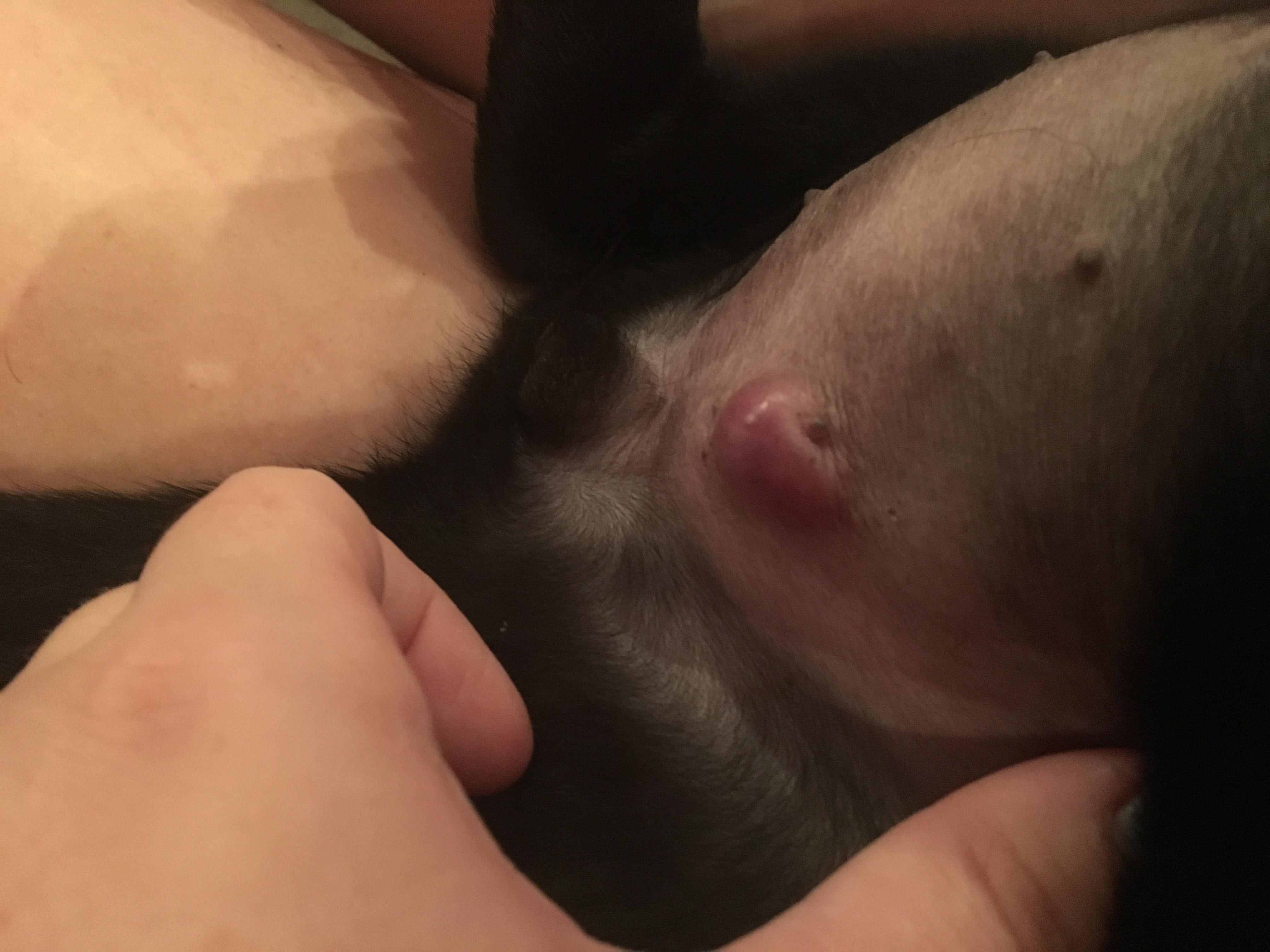 Question details sensitive content