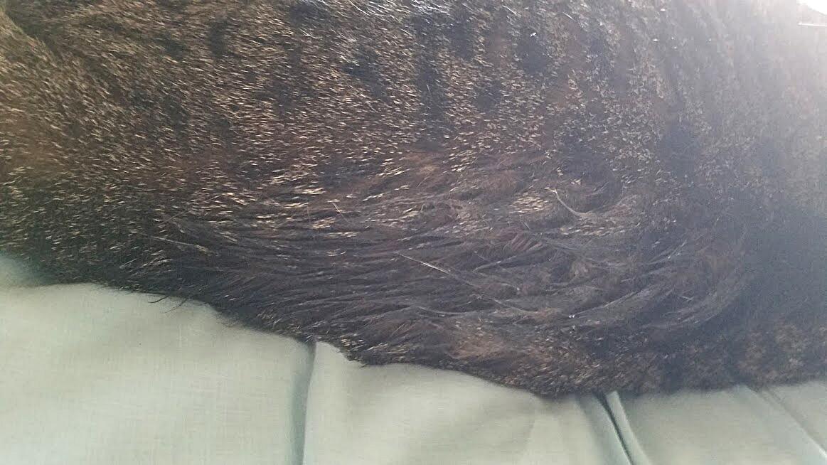 Question details sensitive content