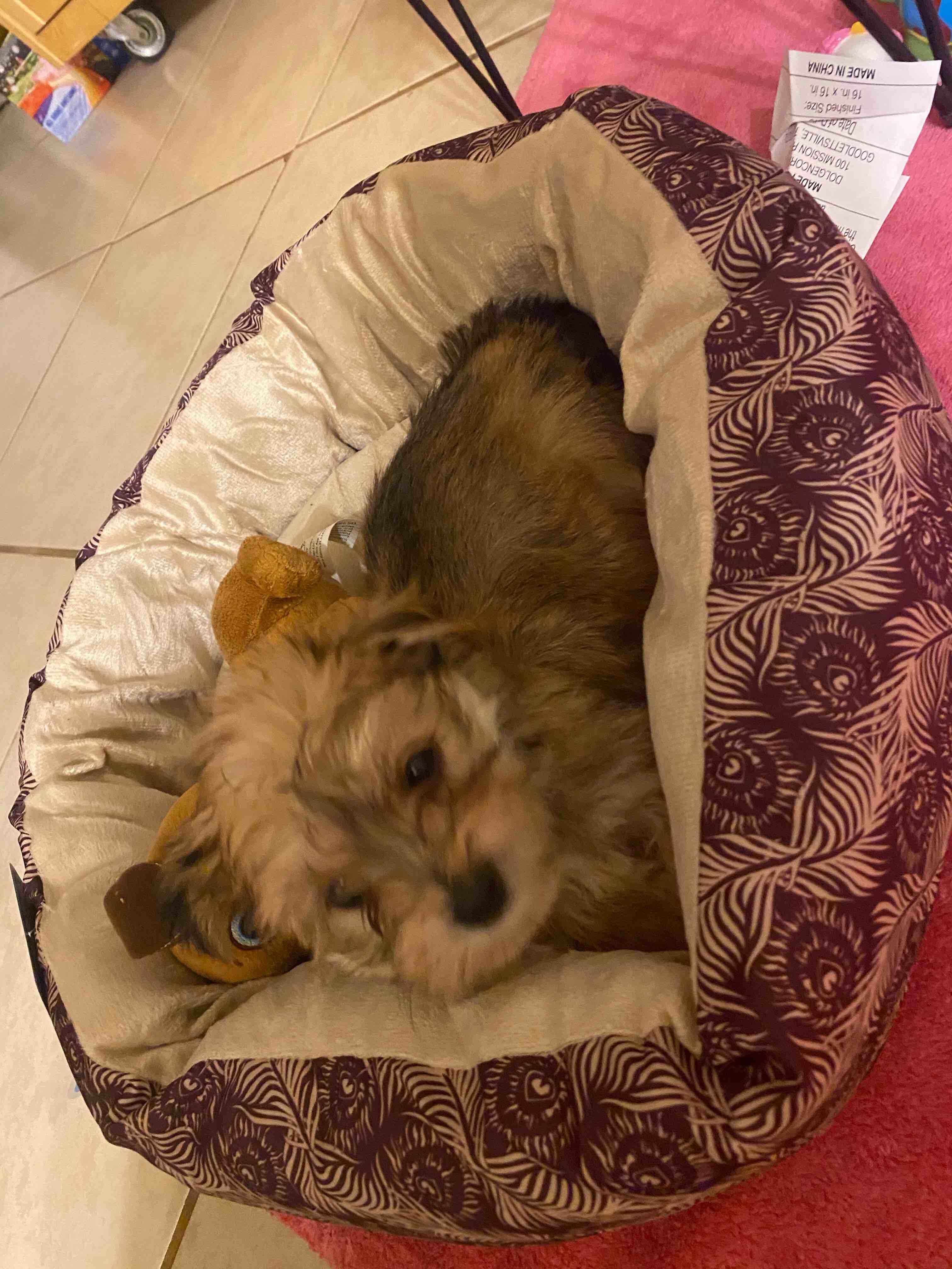 Question details sensitive content