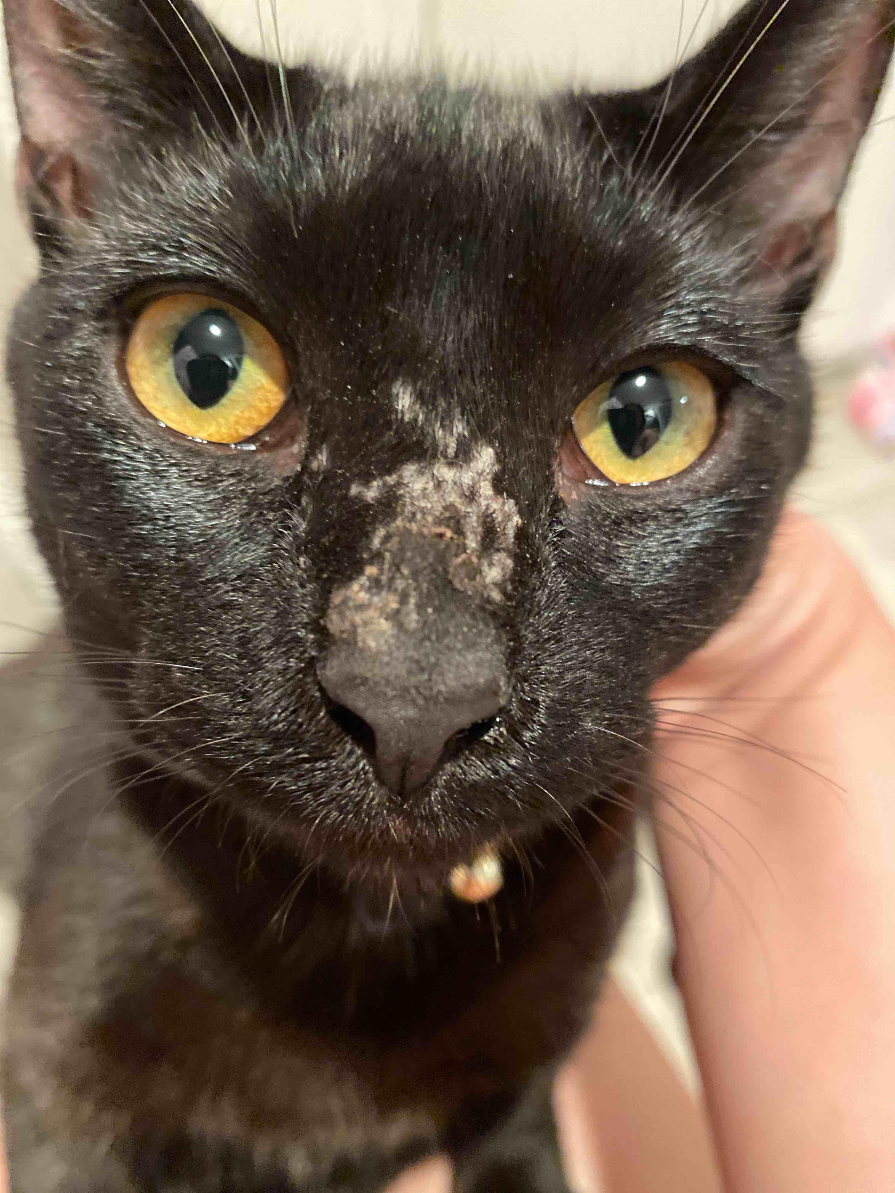 Question details sensitive content