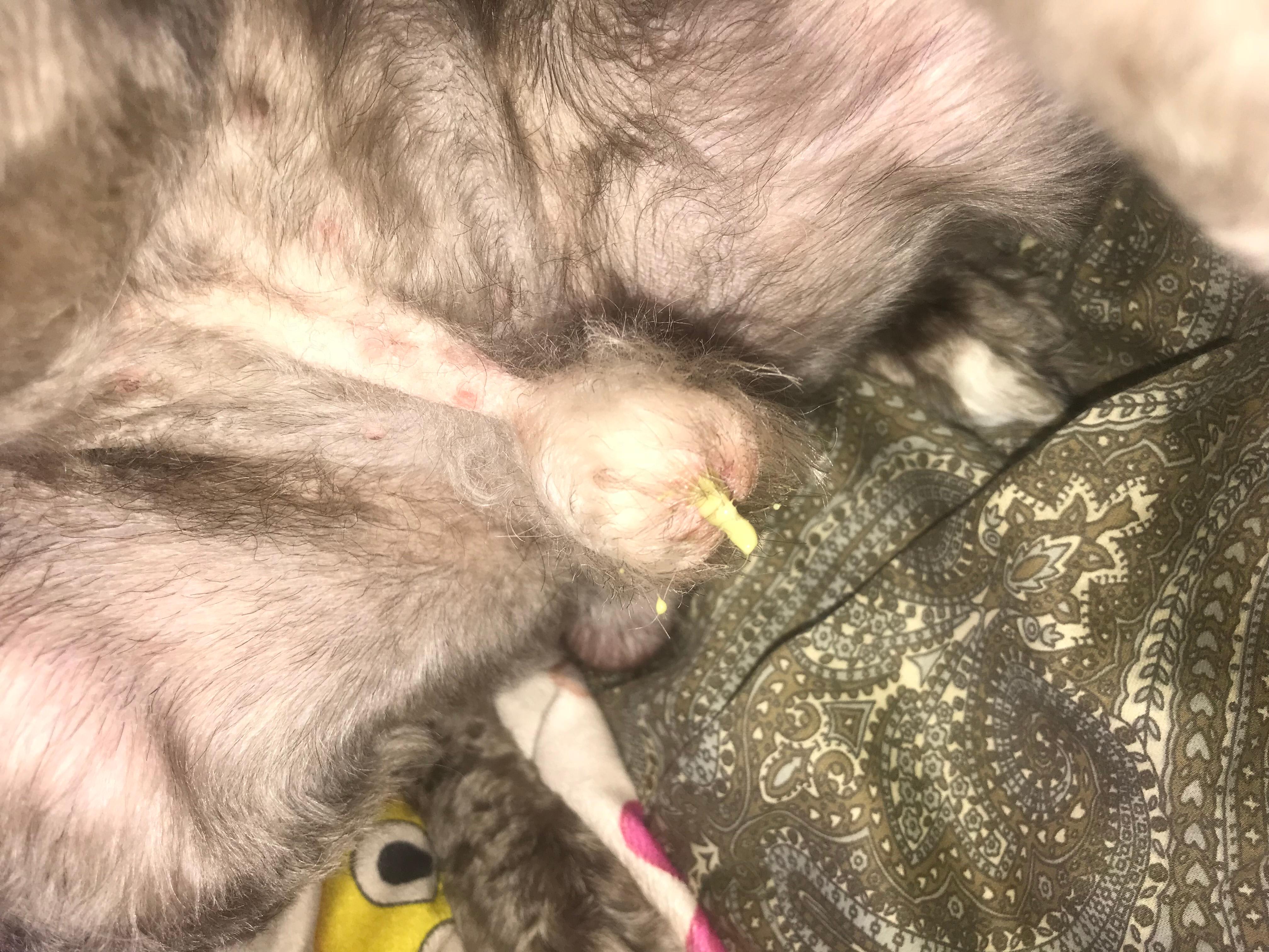 Question details sensitive content