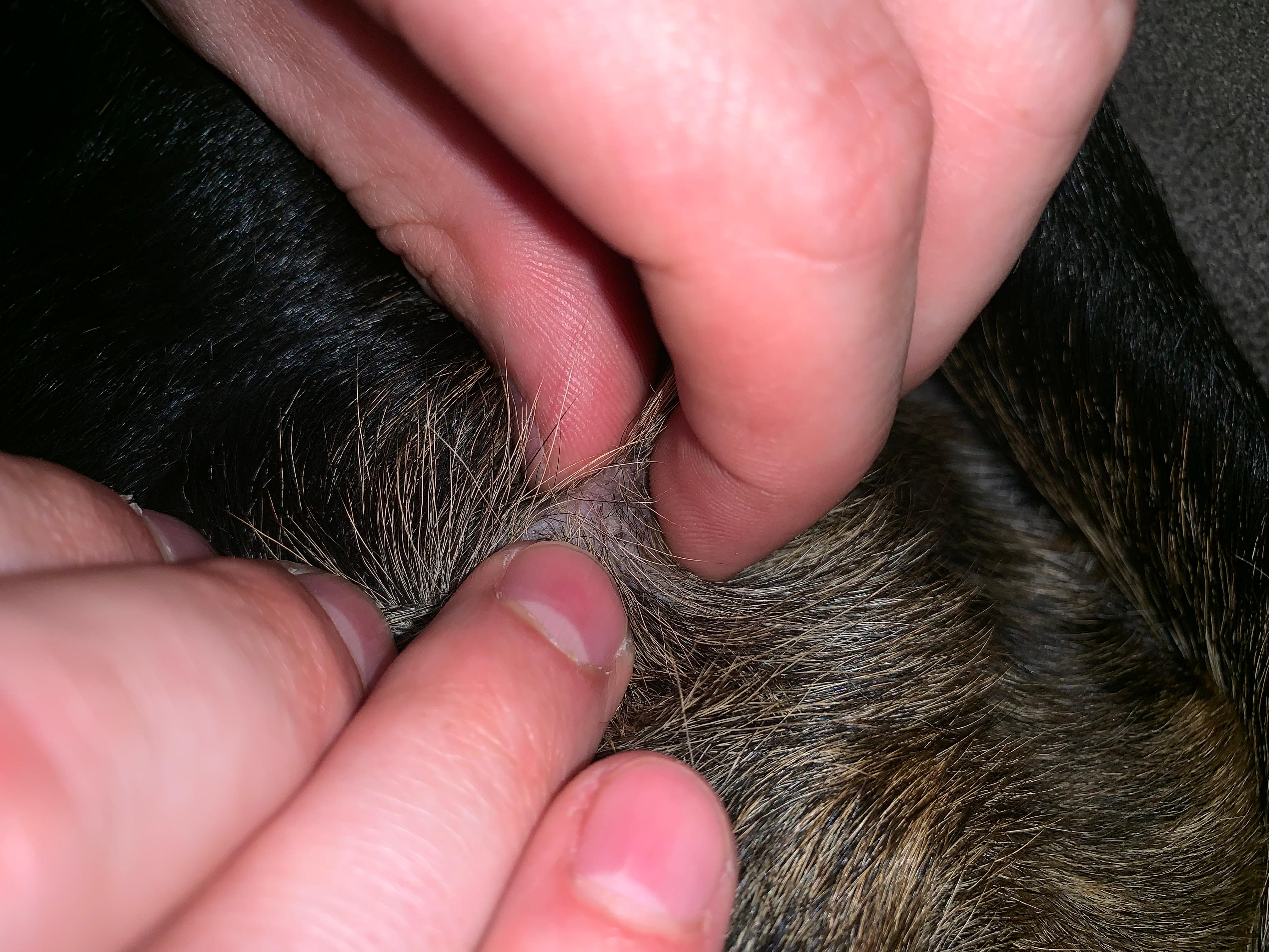 Question details sensitive content