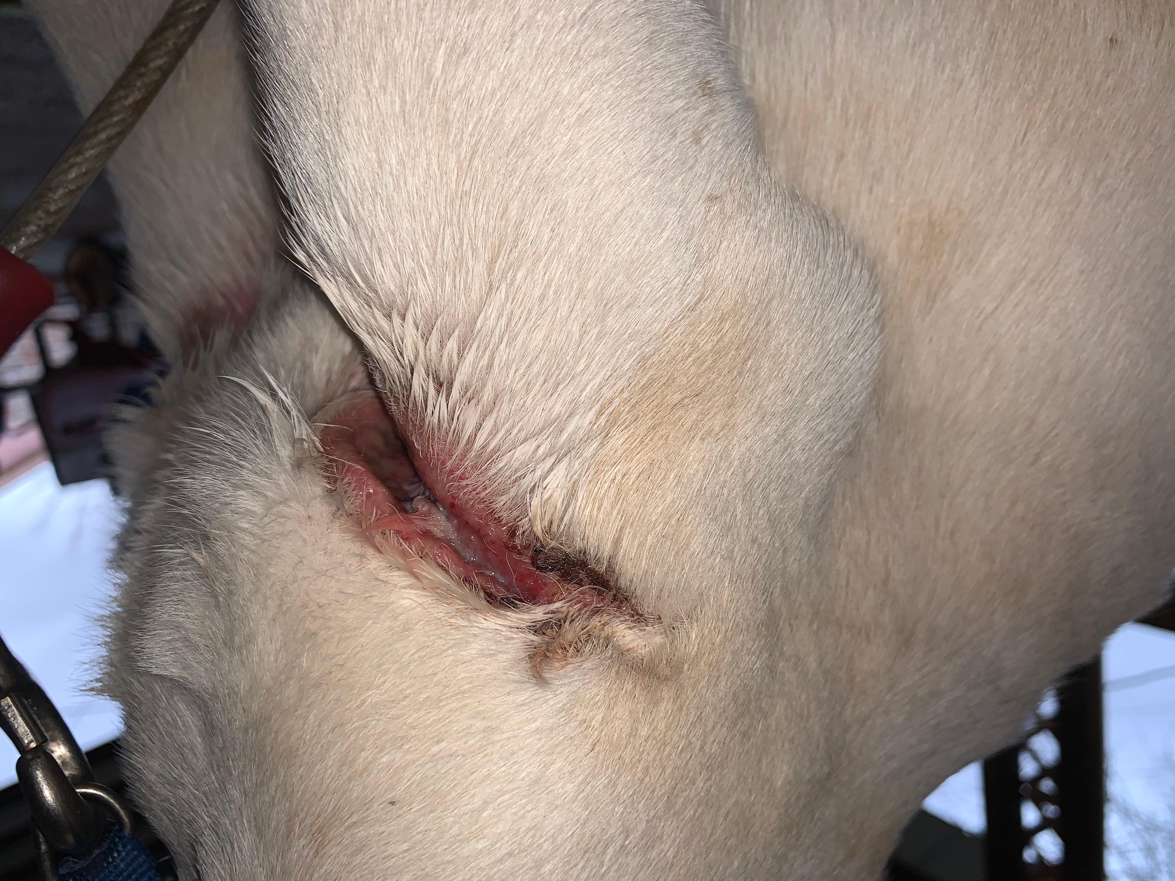 Question details sensitive content