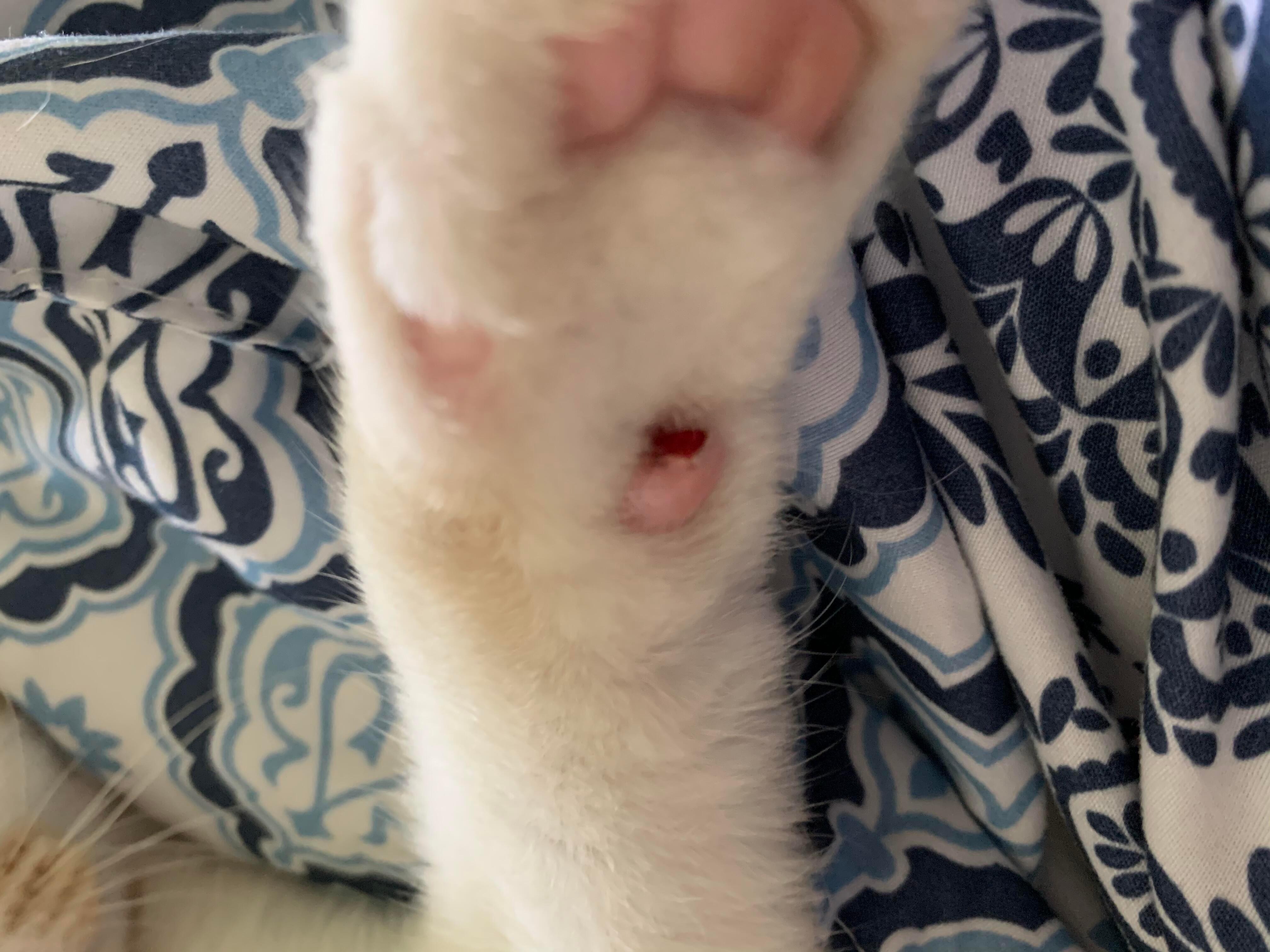 Question details sensitive content