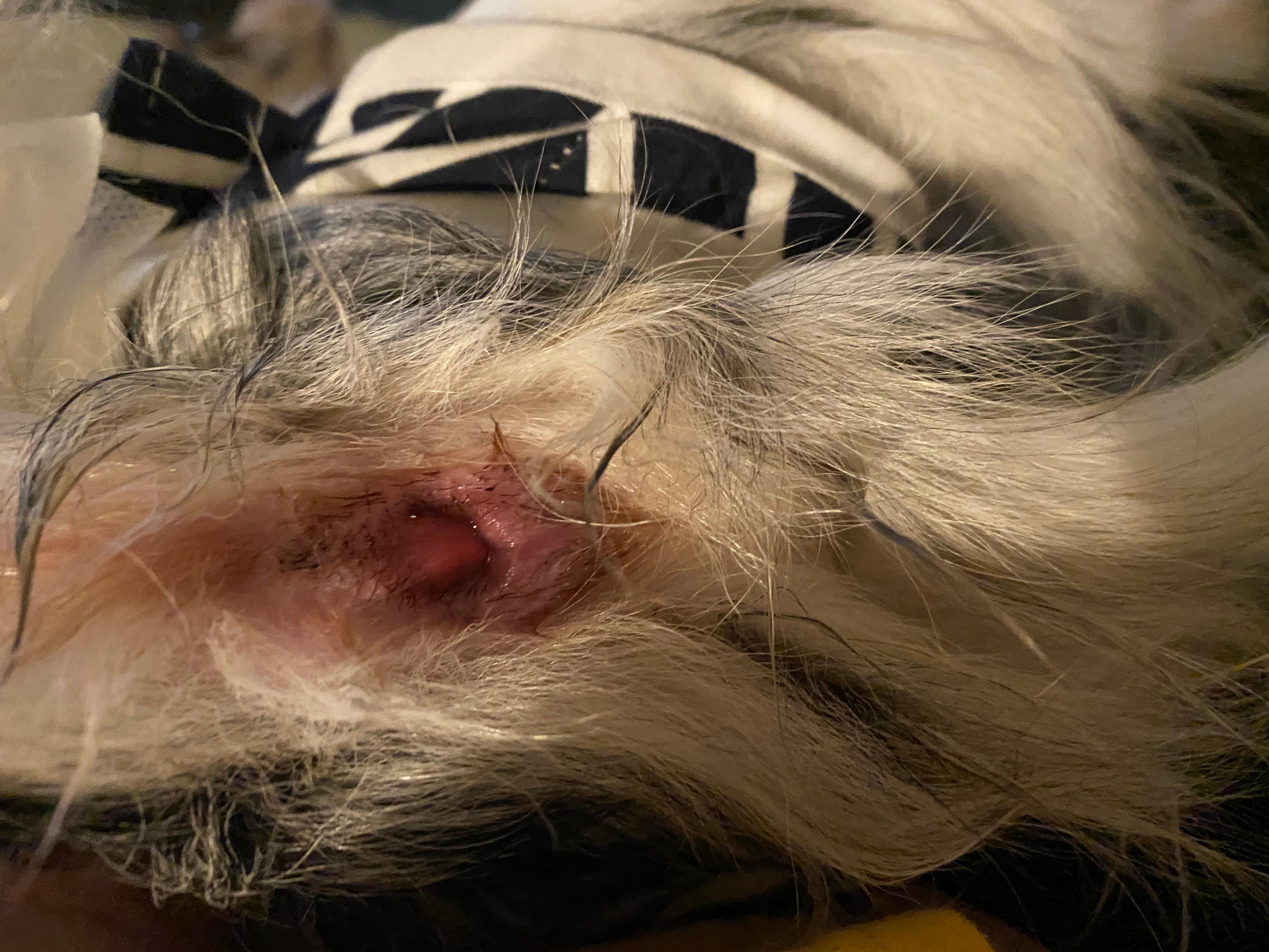 Question details sensitive content