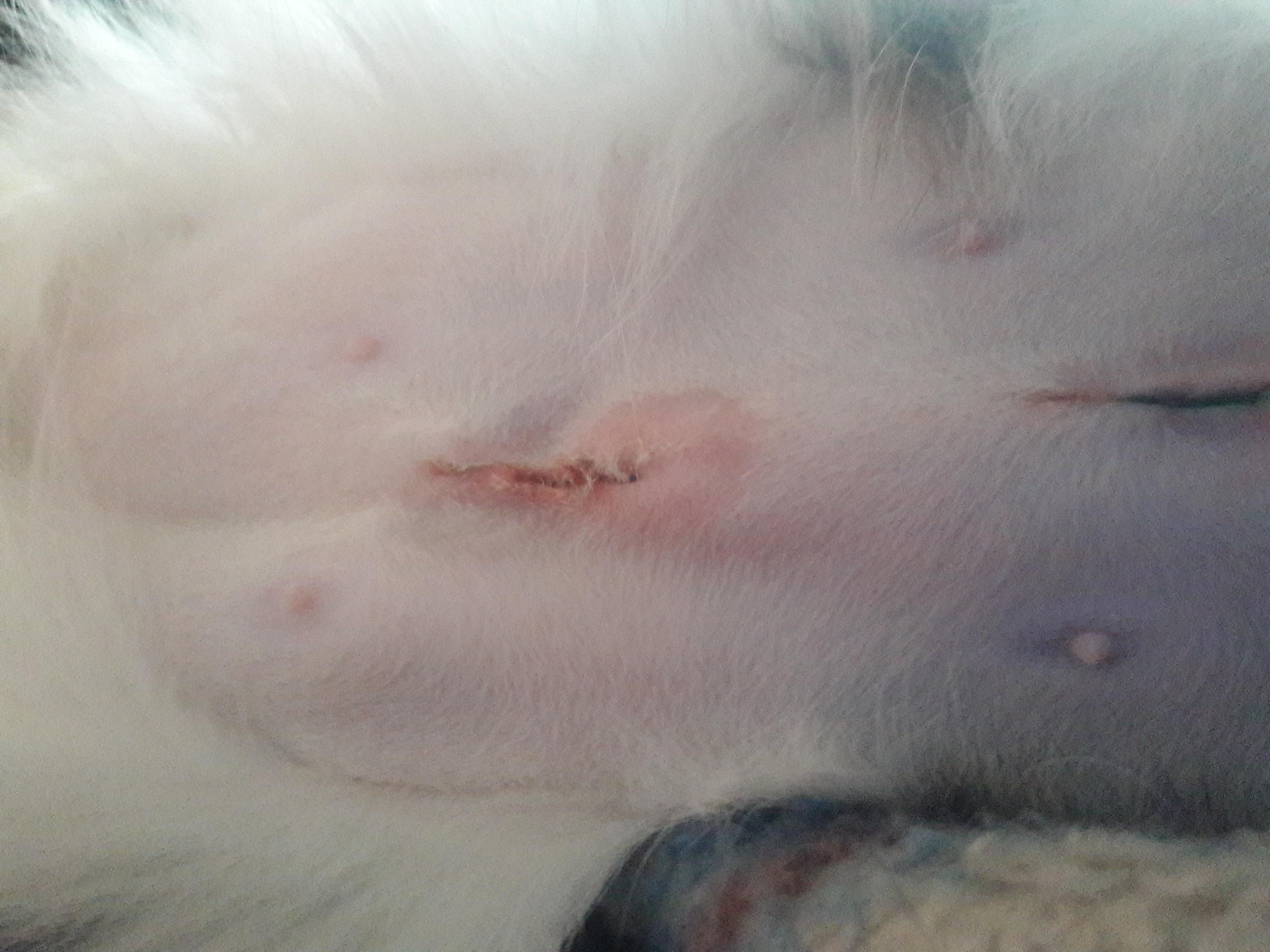 Question details sensitive content