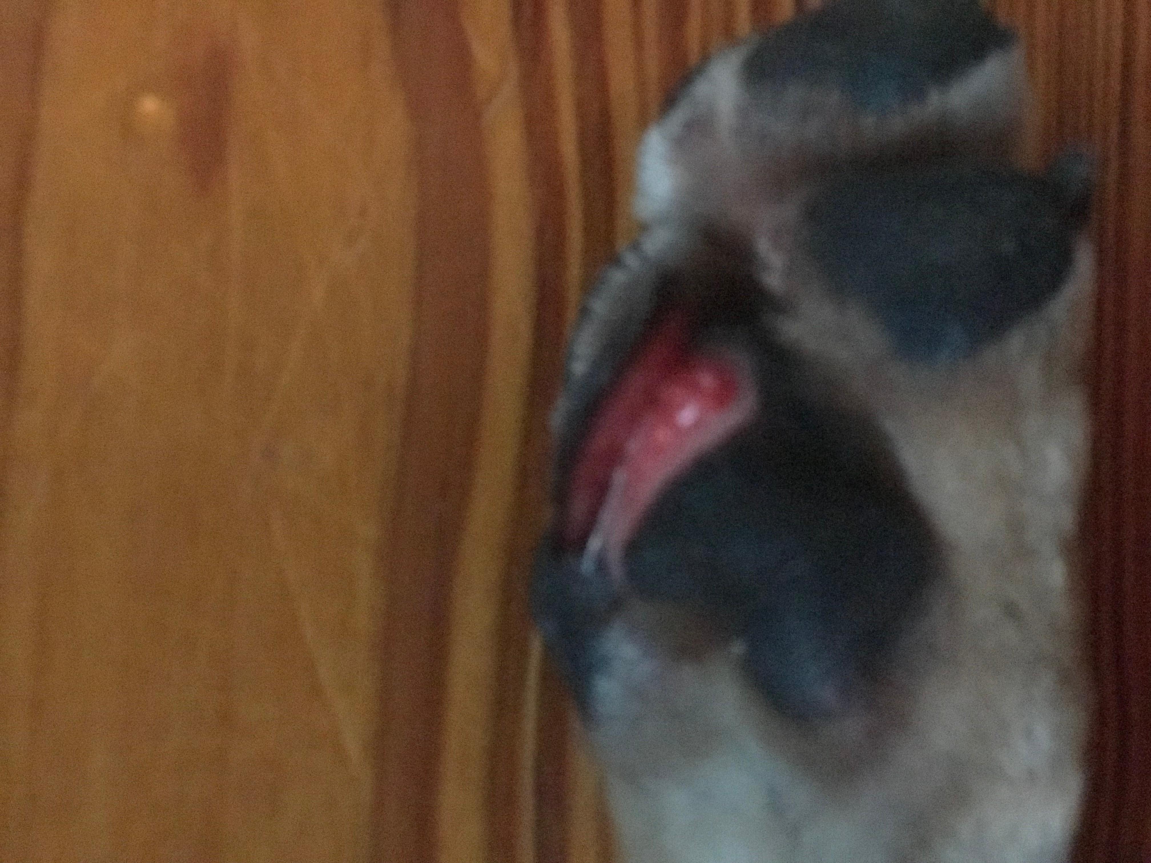 Question details sensitive content