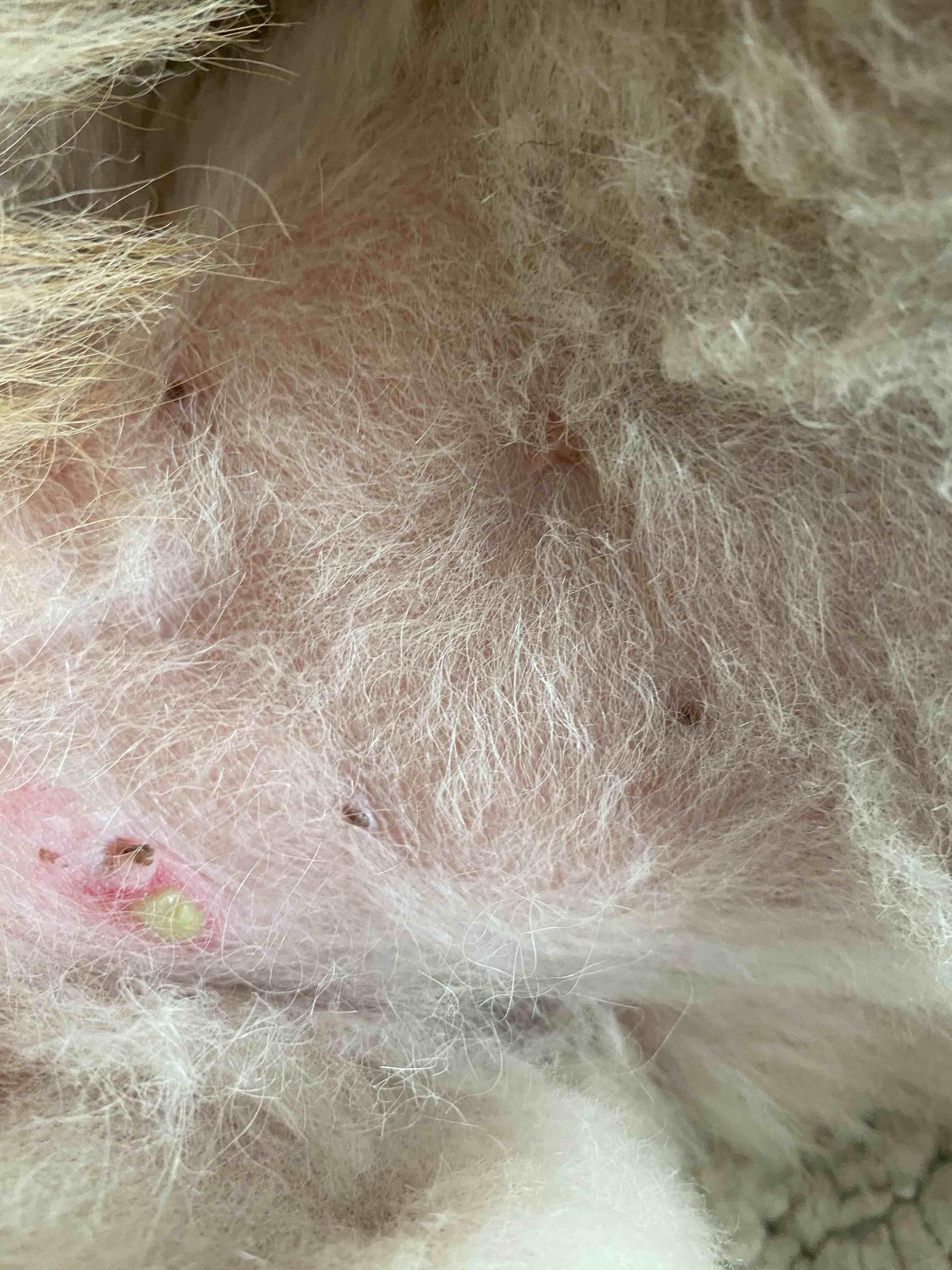 Question details sensitive content