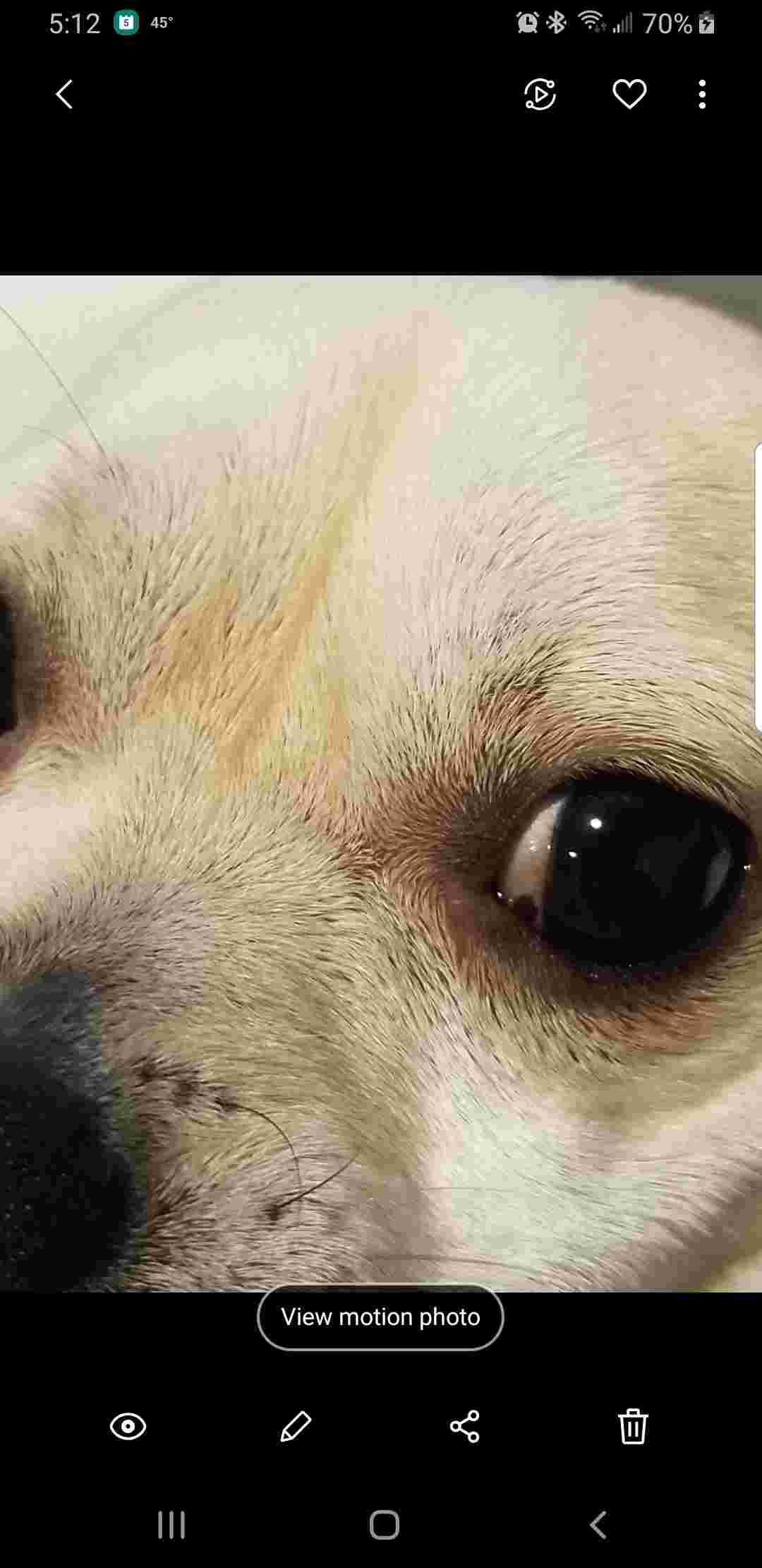 Question details sensitive content