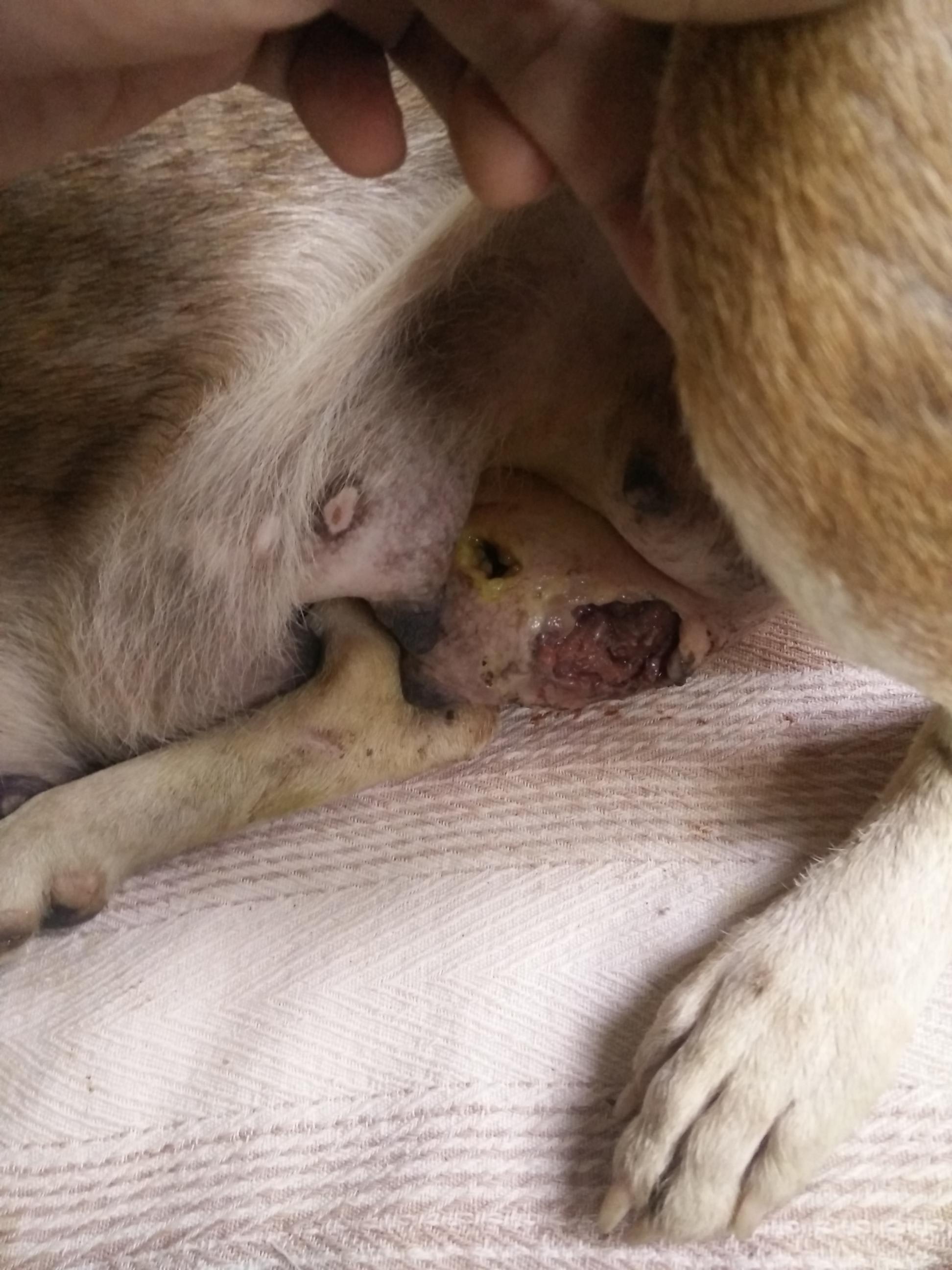 Question details sensitive content