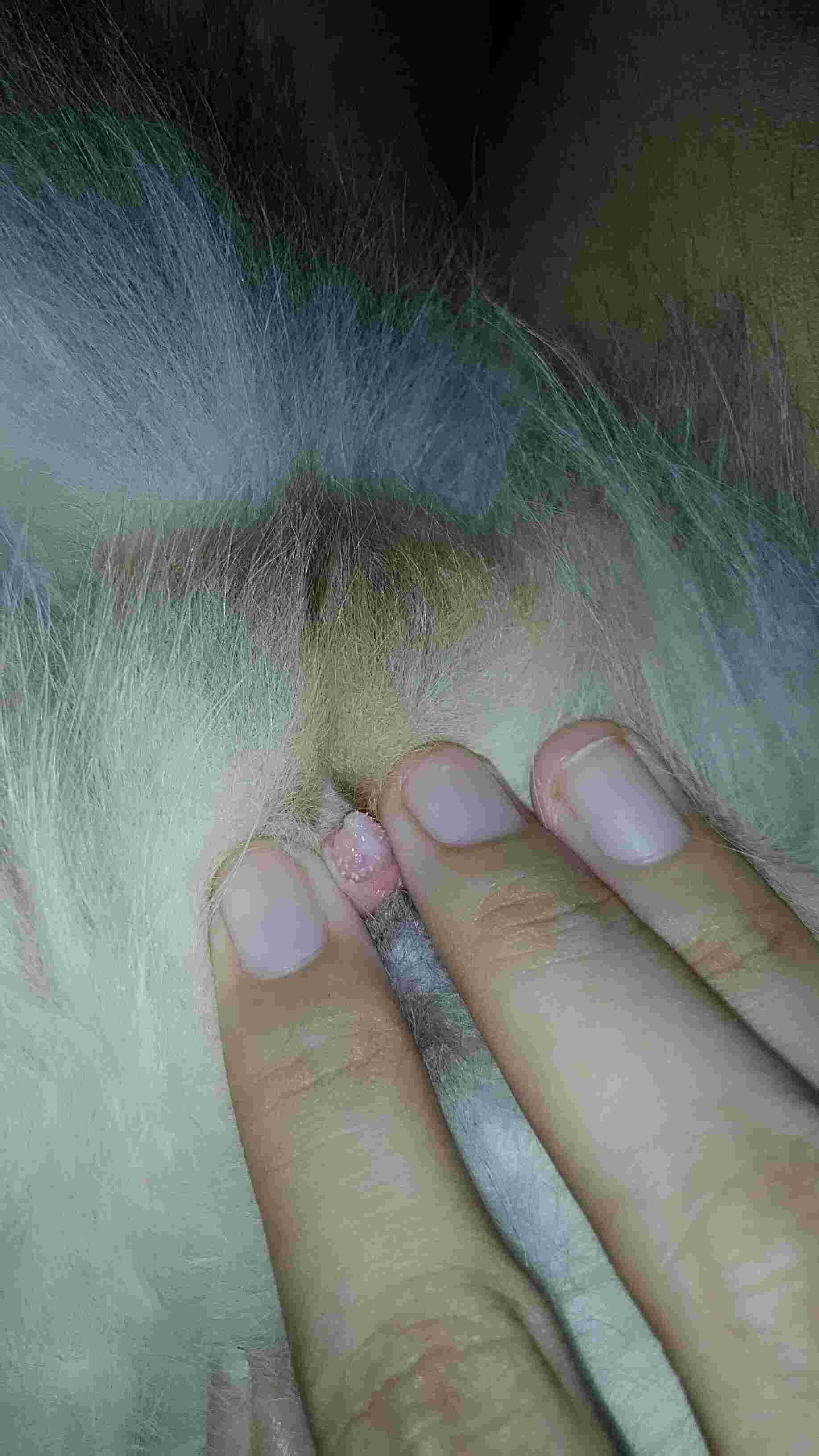 Question details sensitive content