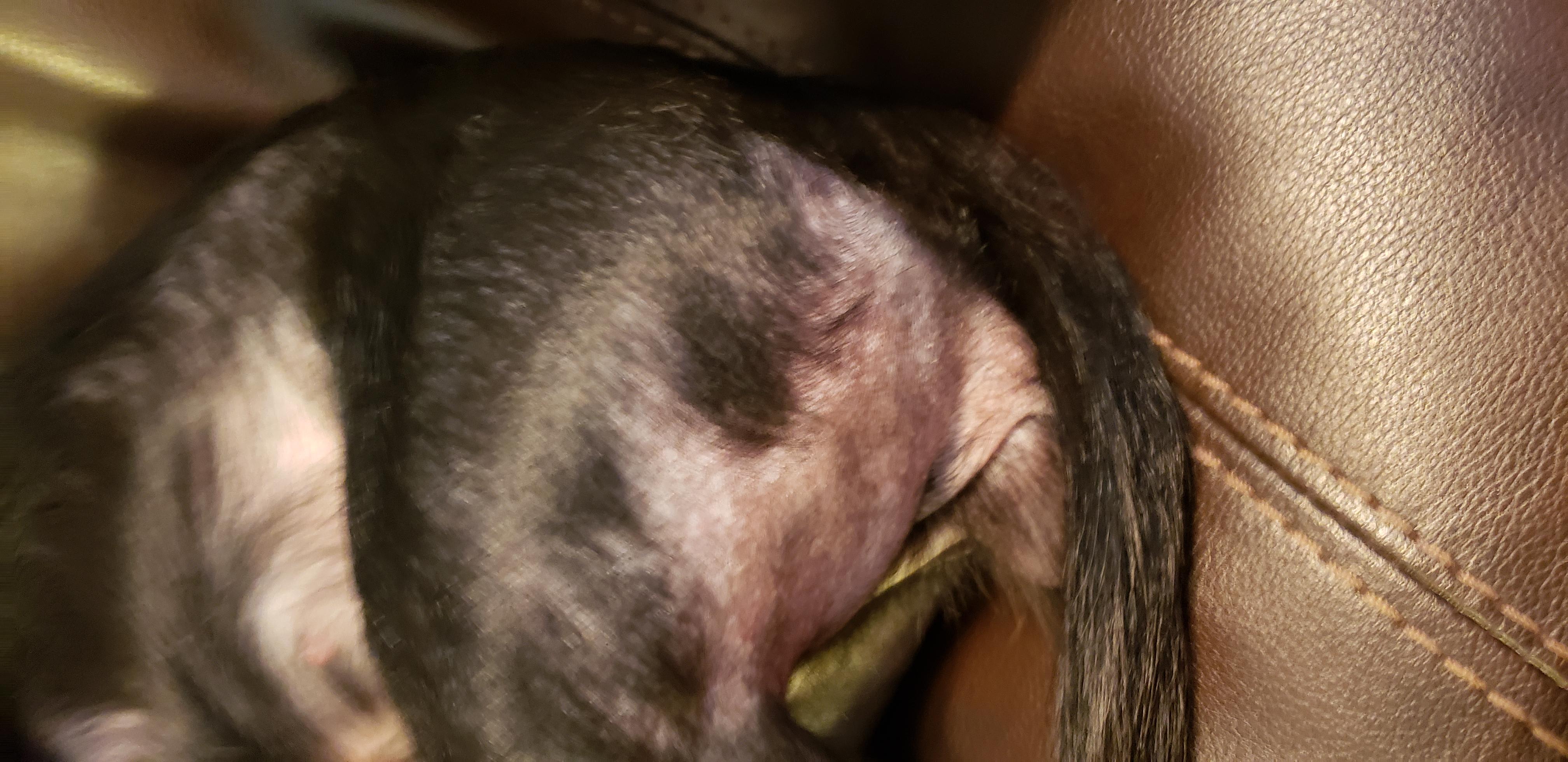 Question details sensitive content