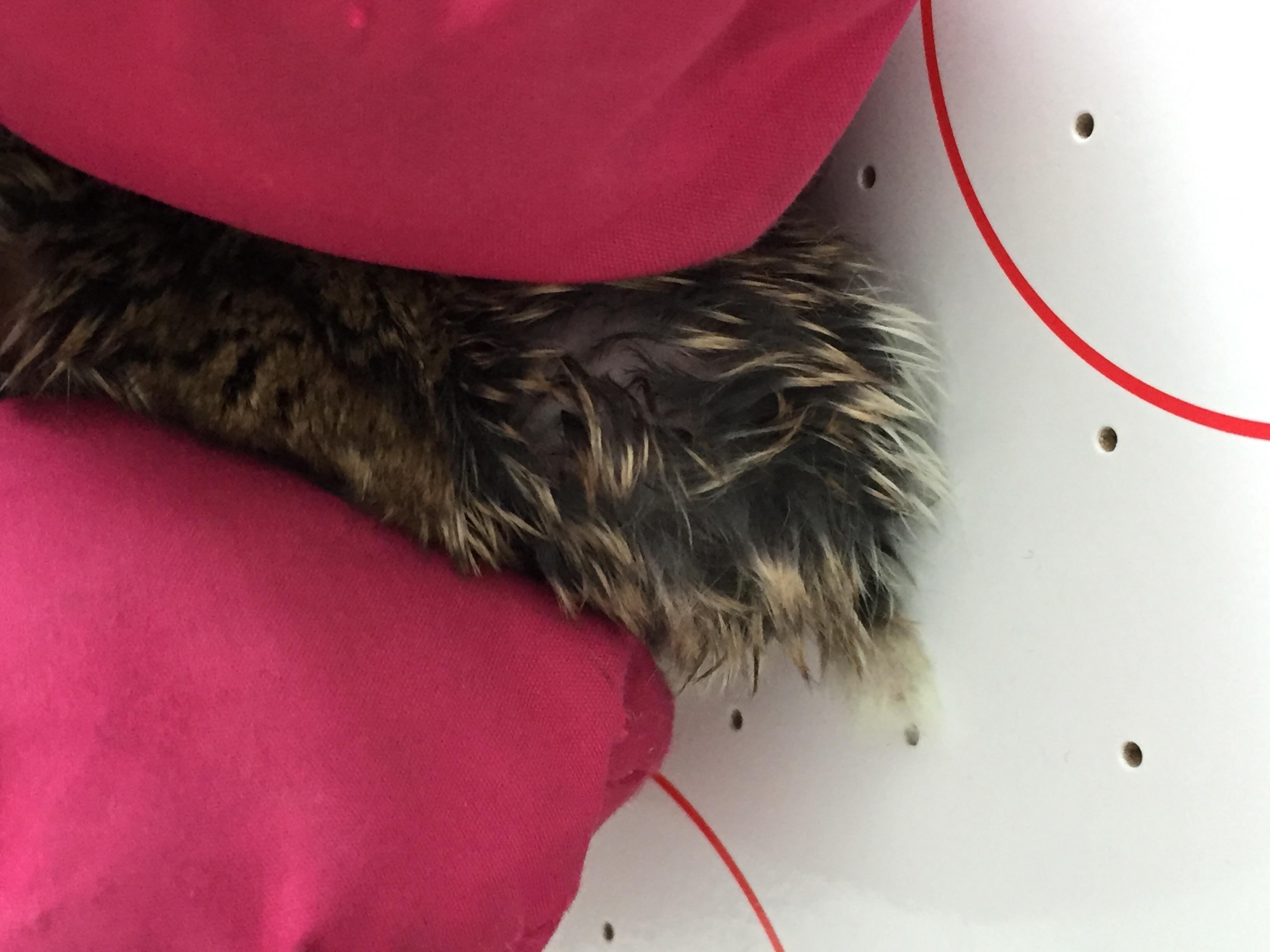 Question details sensitive content