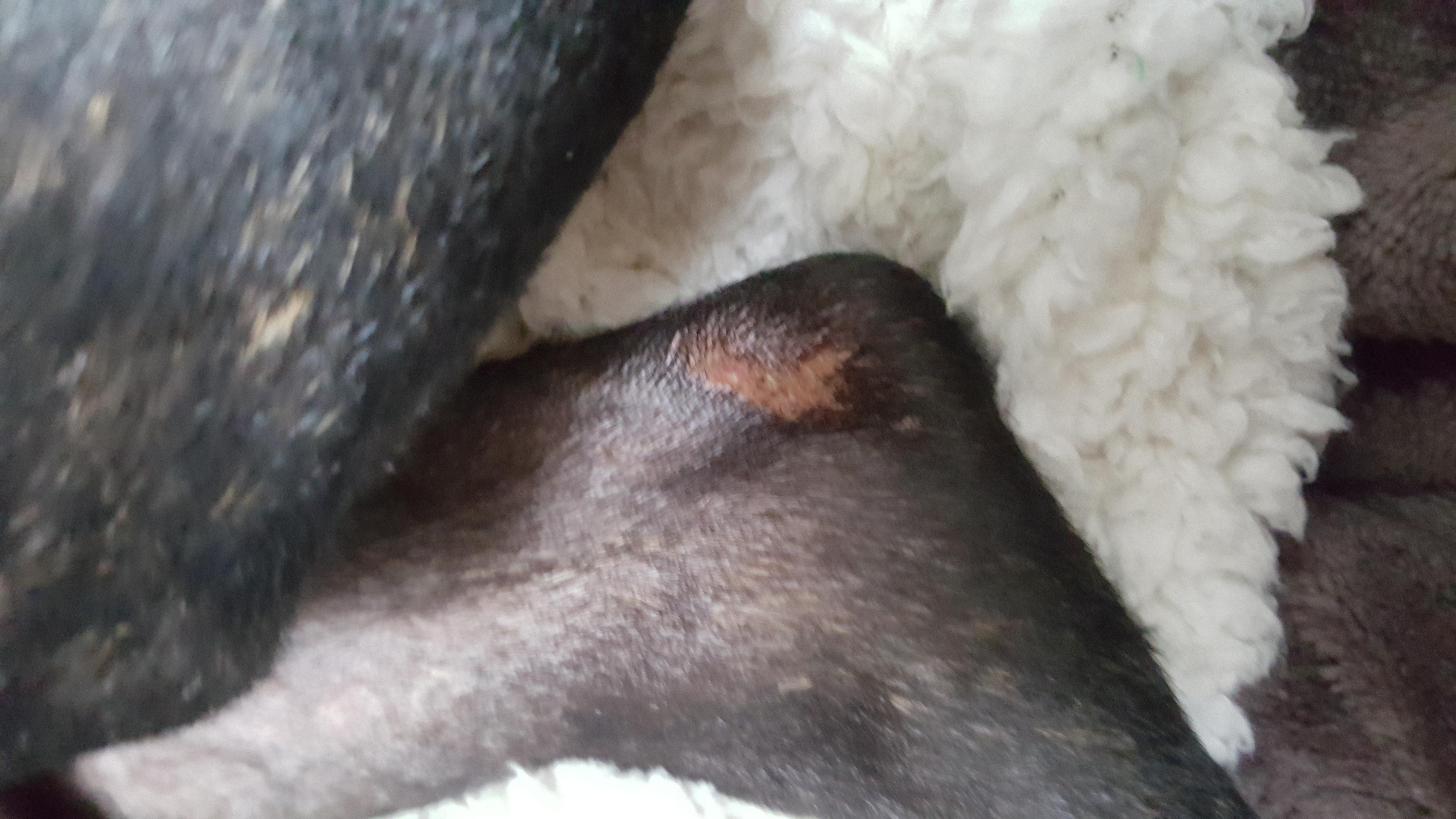 Question details sensitive content