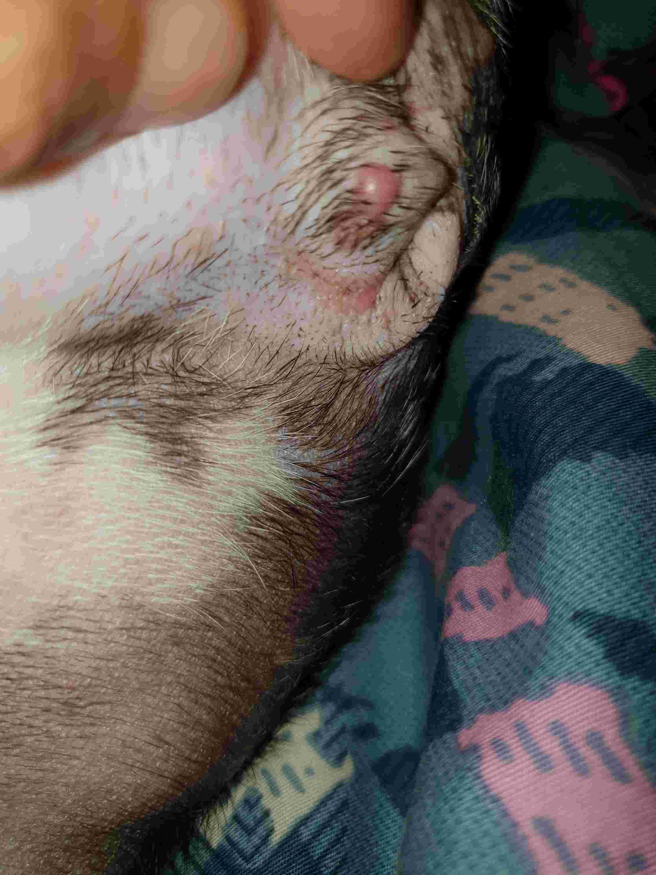 Question details sensitive content