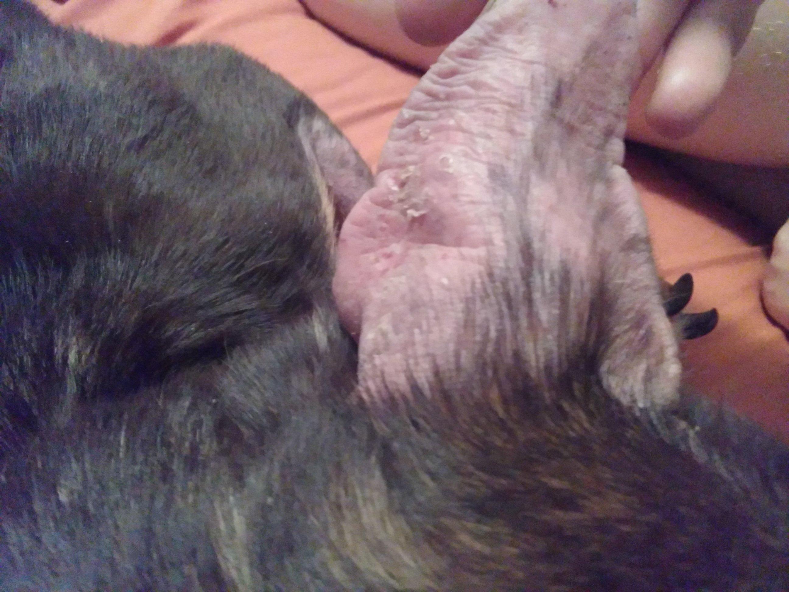 Question details sensitive content