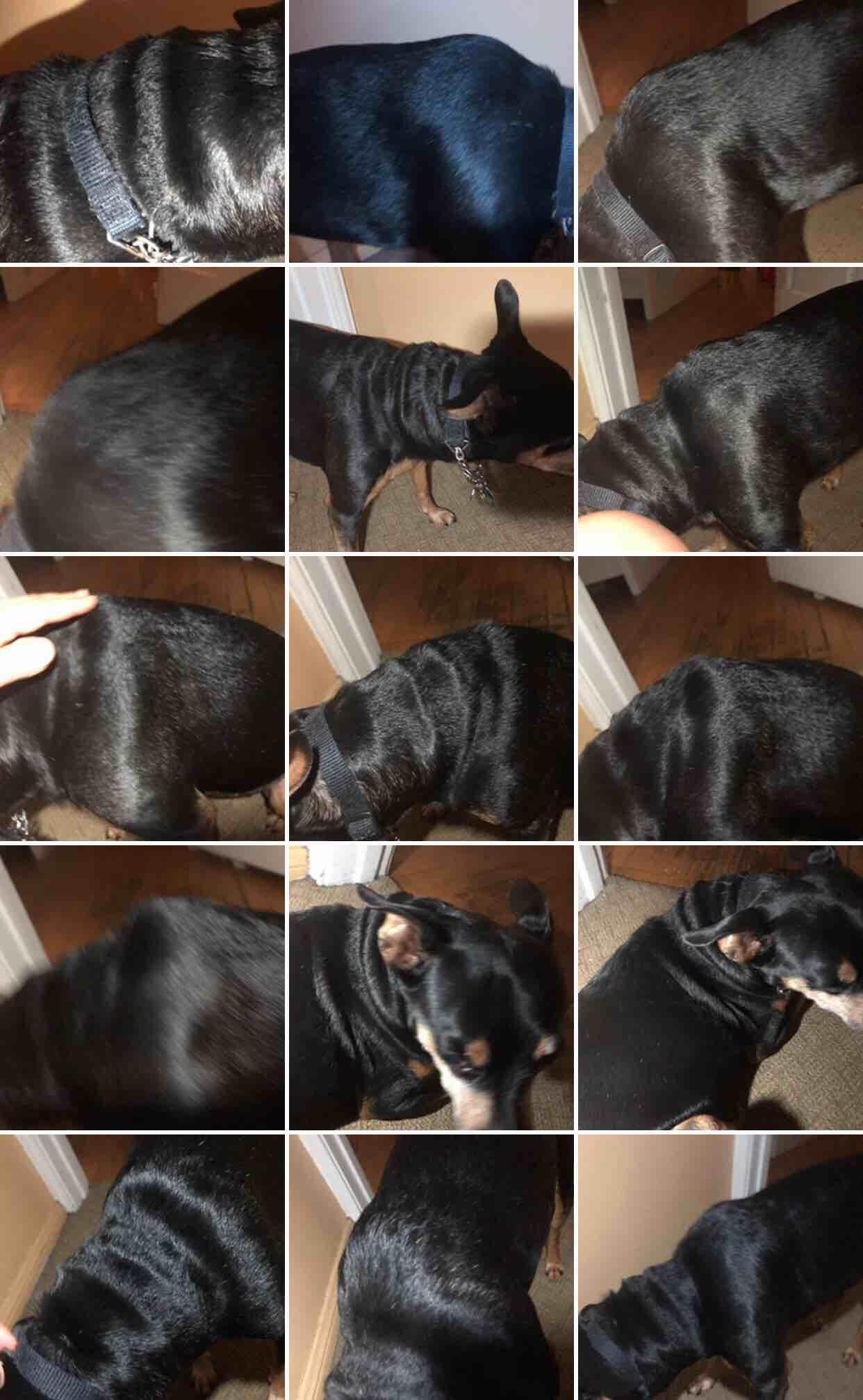 Question details sensitive content