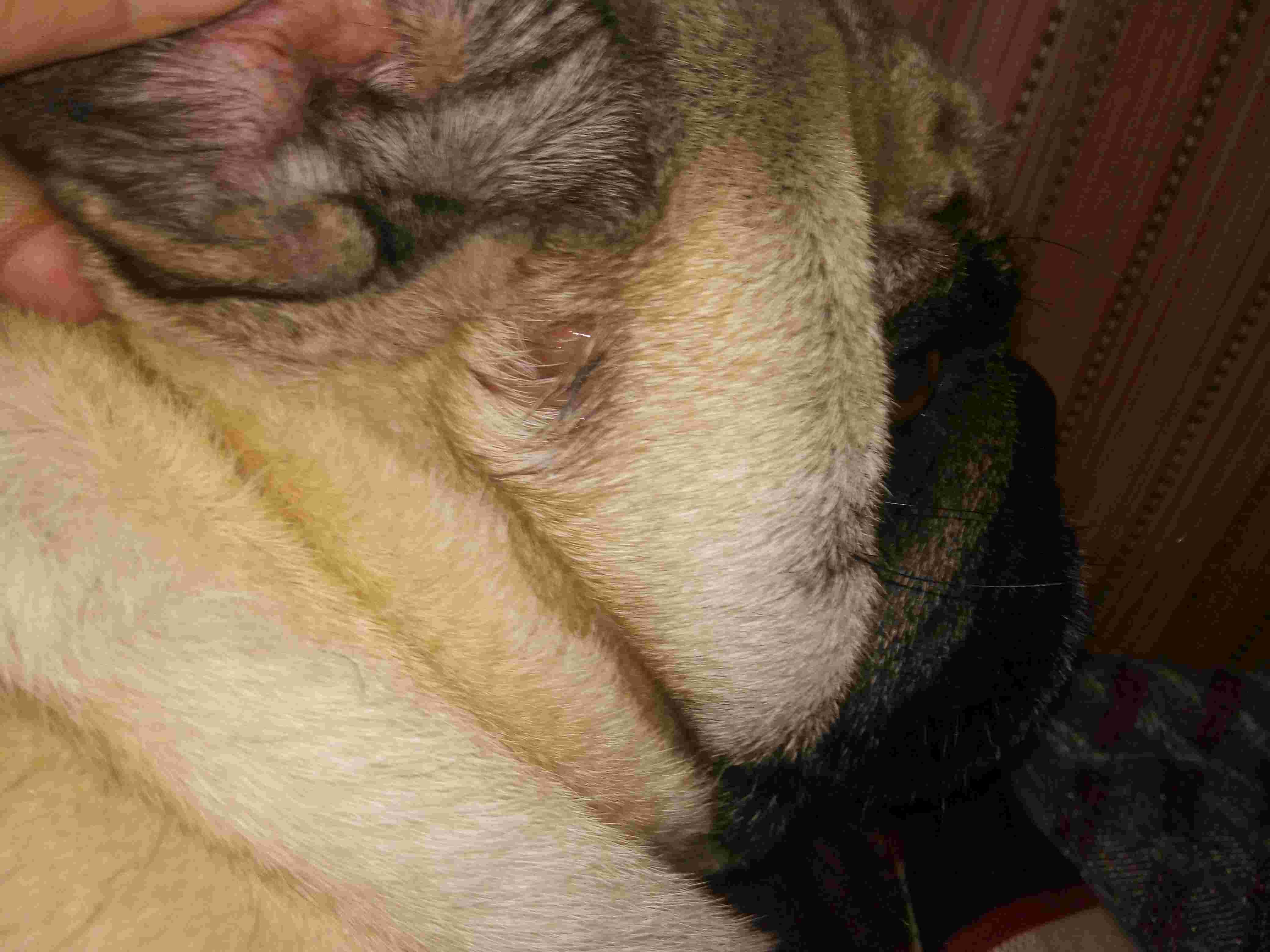 Question details sensitive content