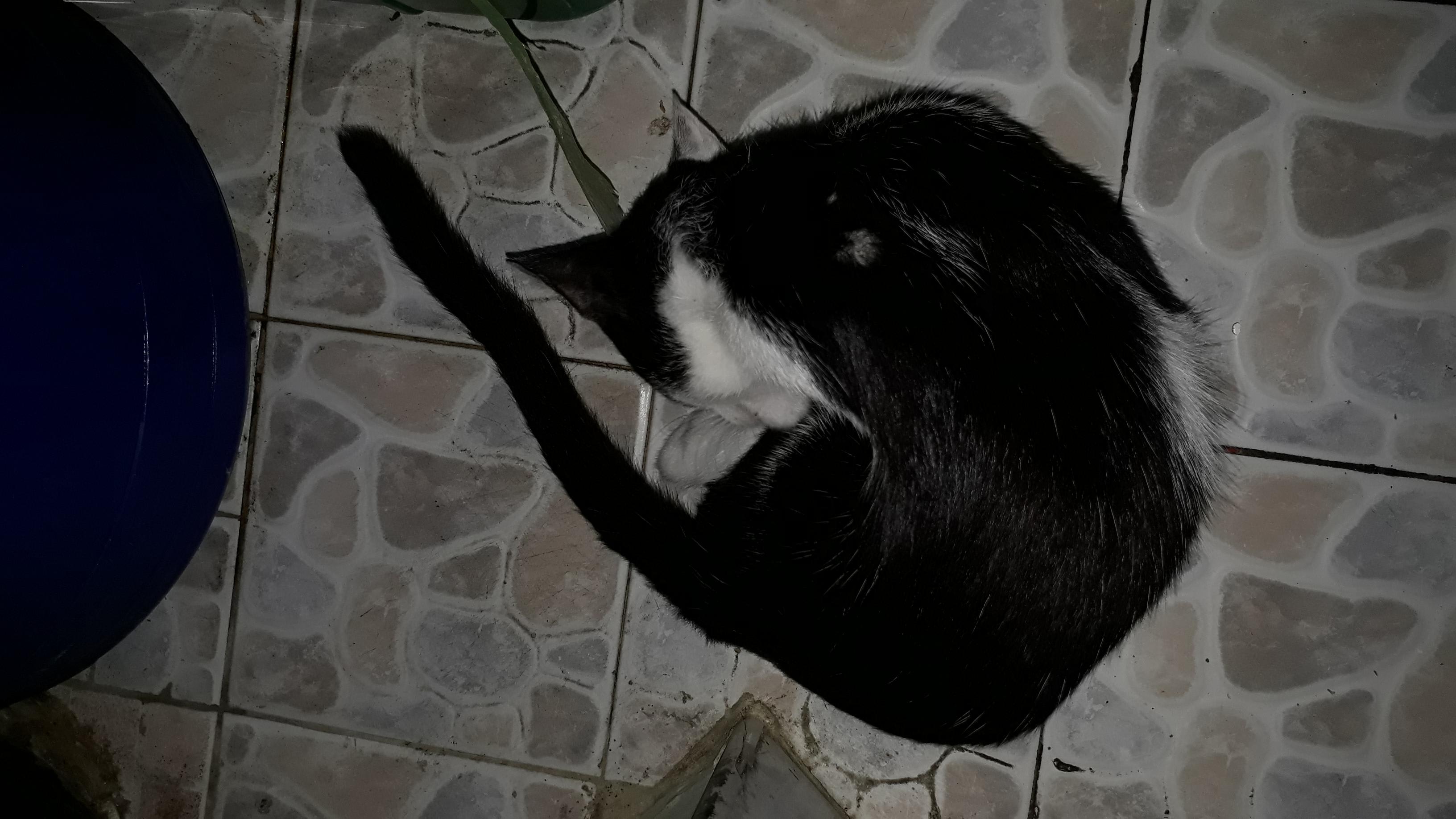 Question details sensitive content