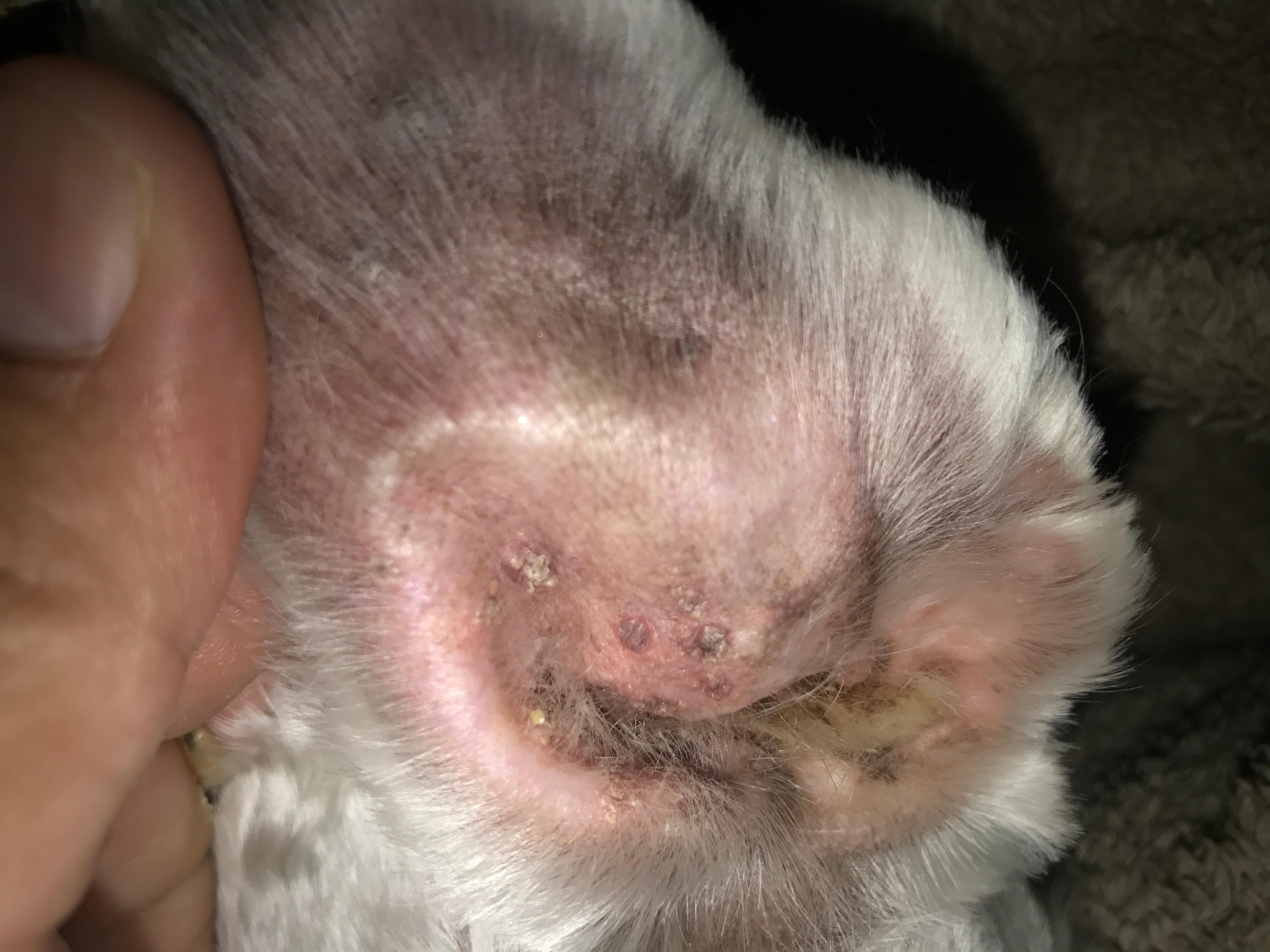 Question details sensitive content