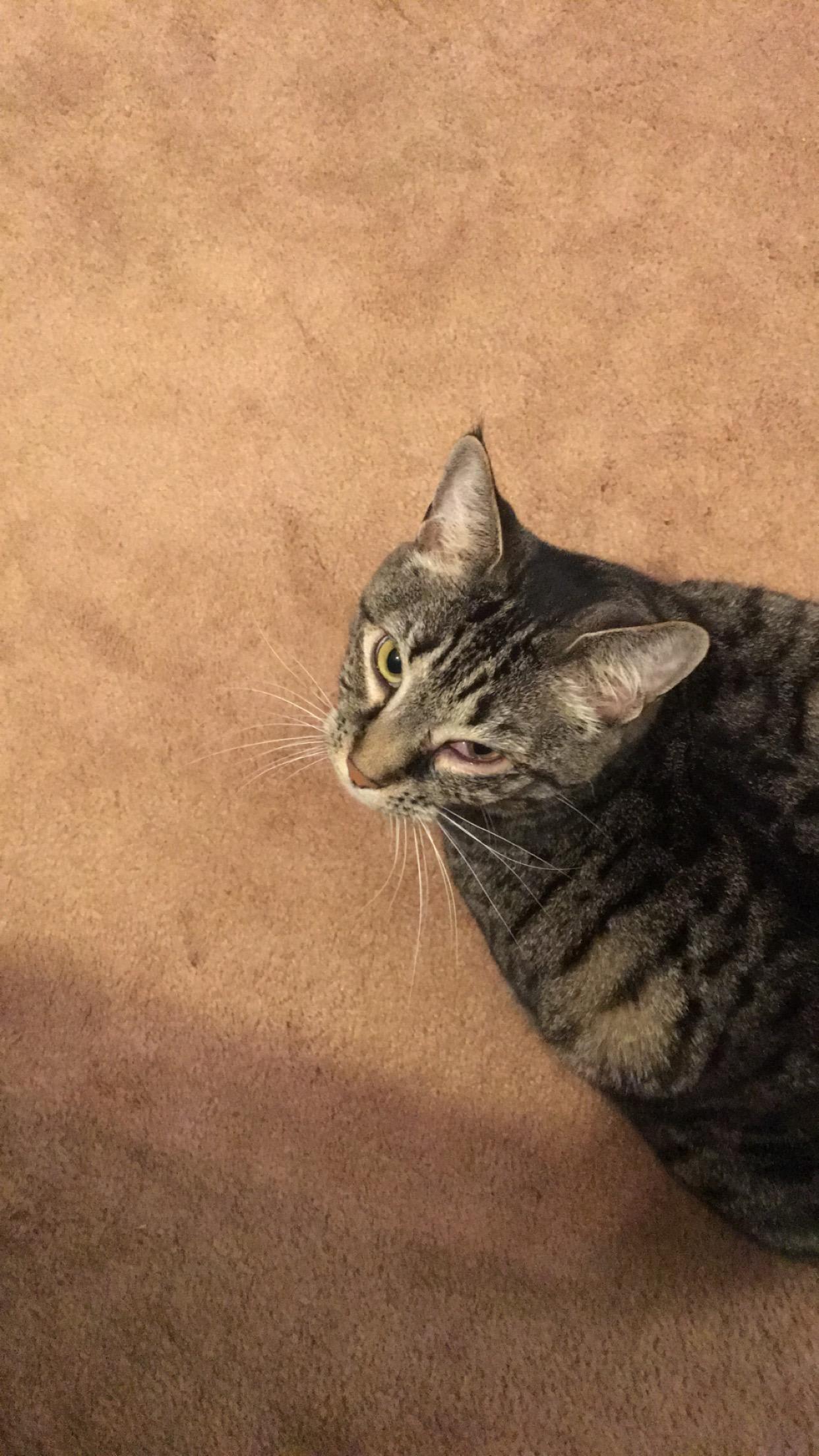 Question details sensitive content