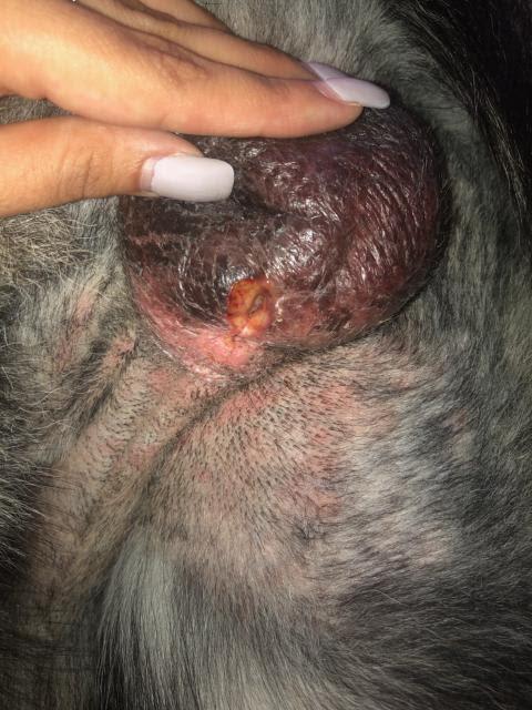 Question details sensitive content