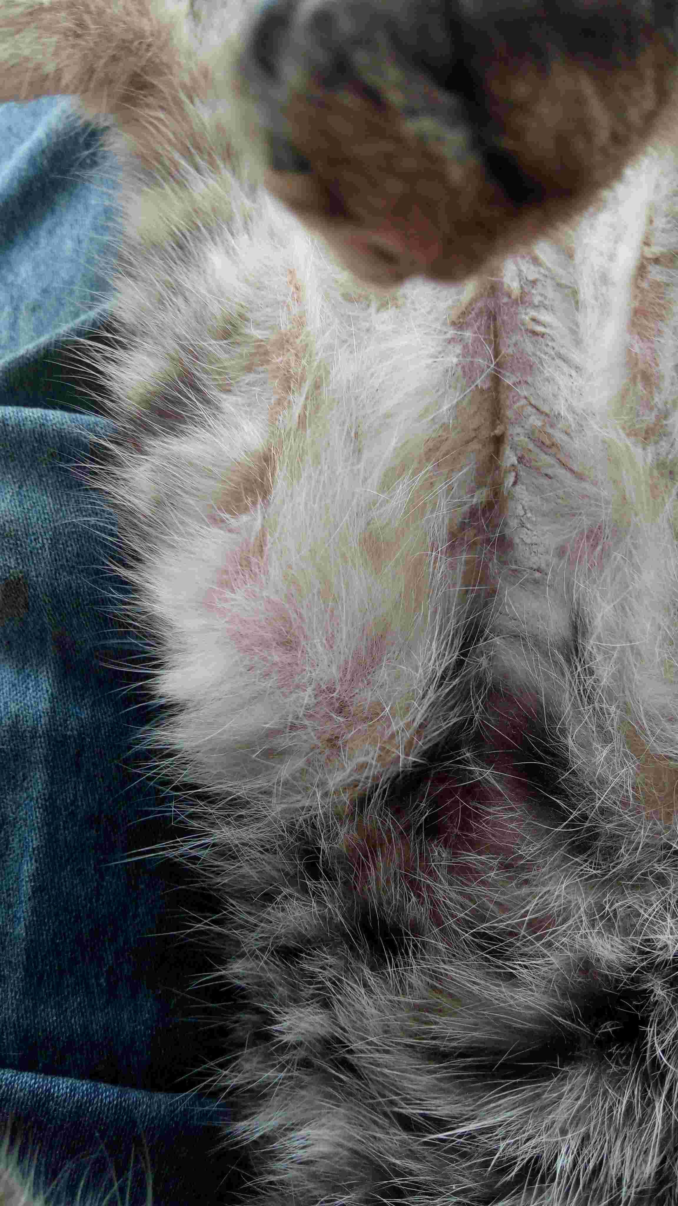 Question details sensitive content