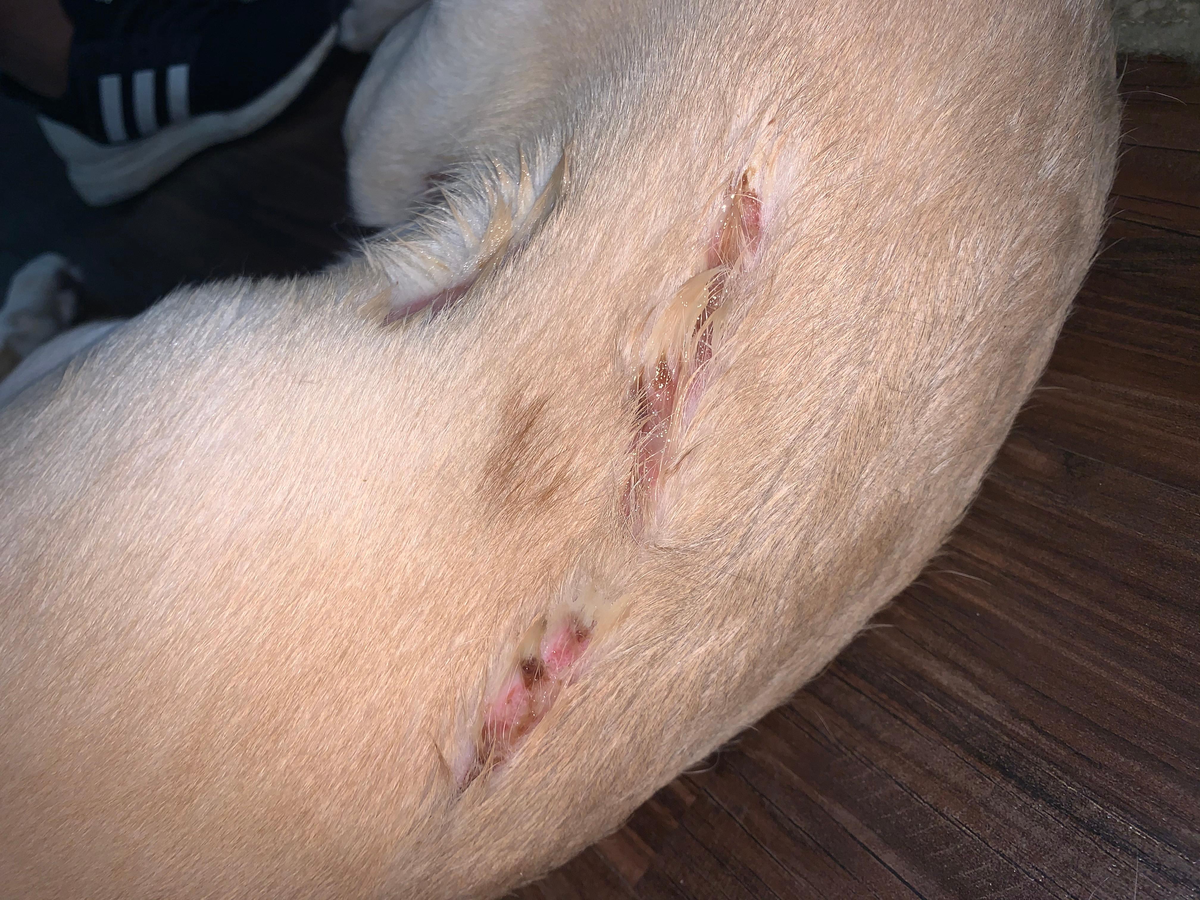 Question details sensitive content