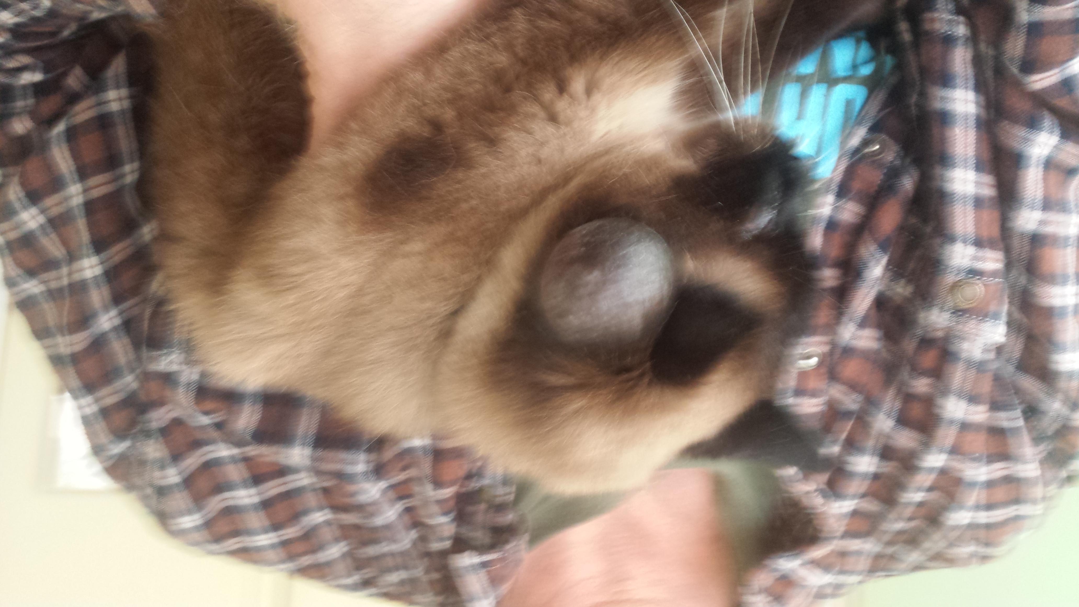 Question details sensitive content