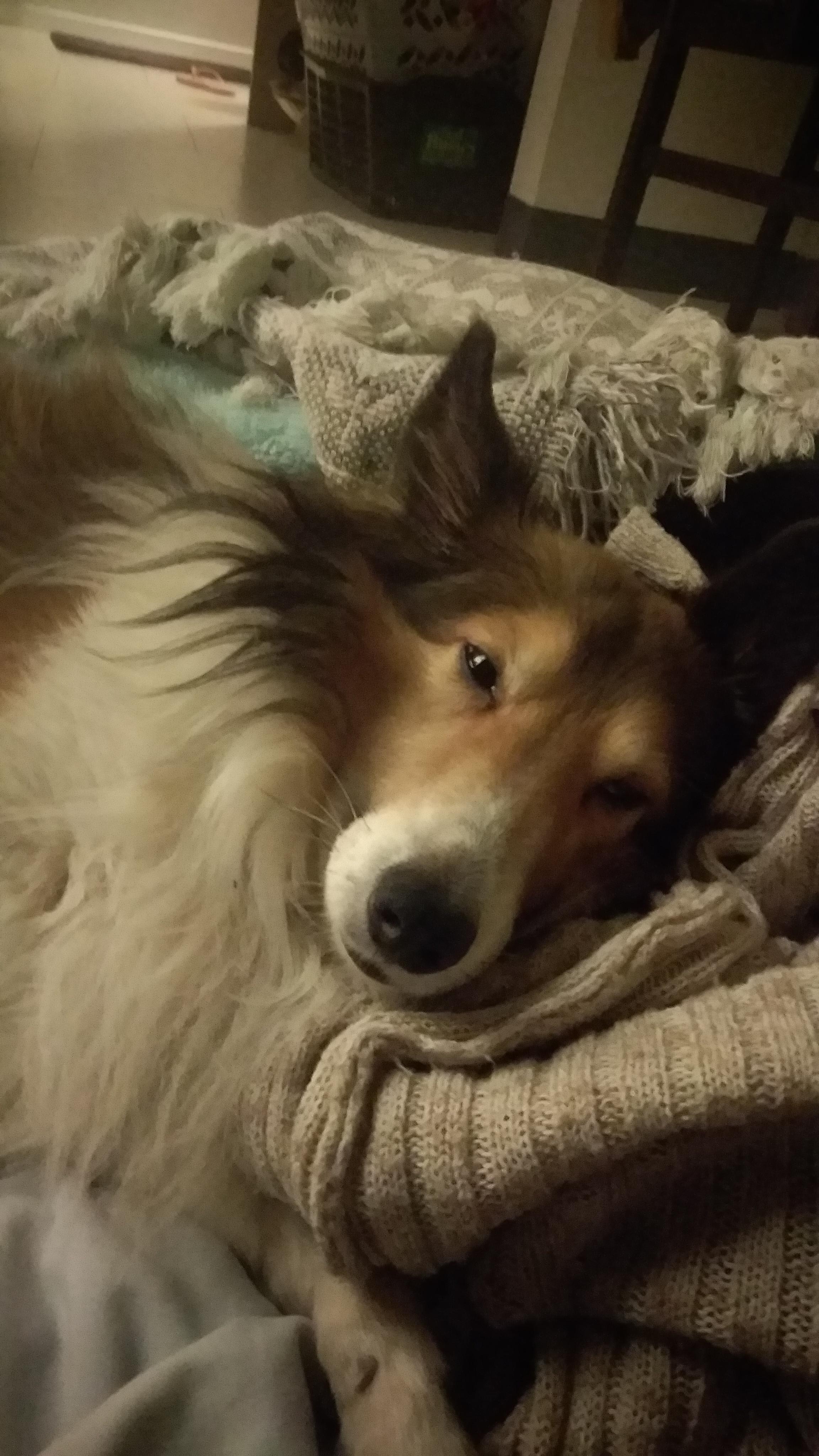 Question details sensitive content