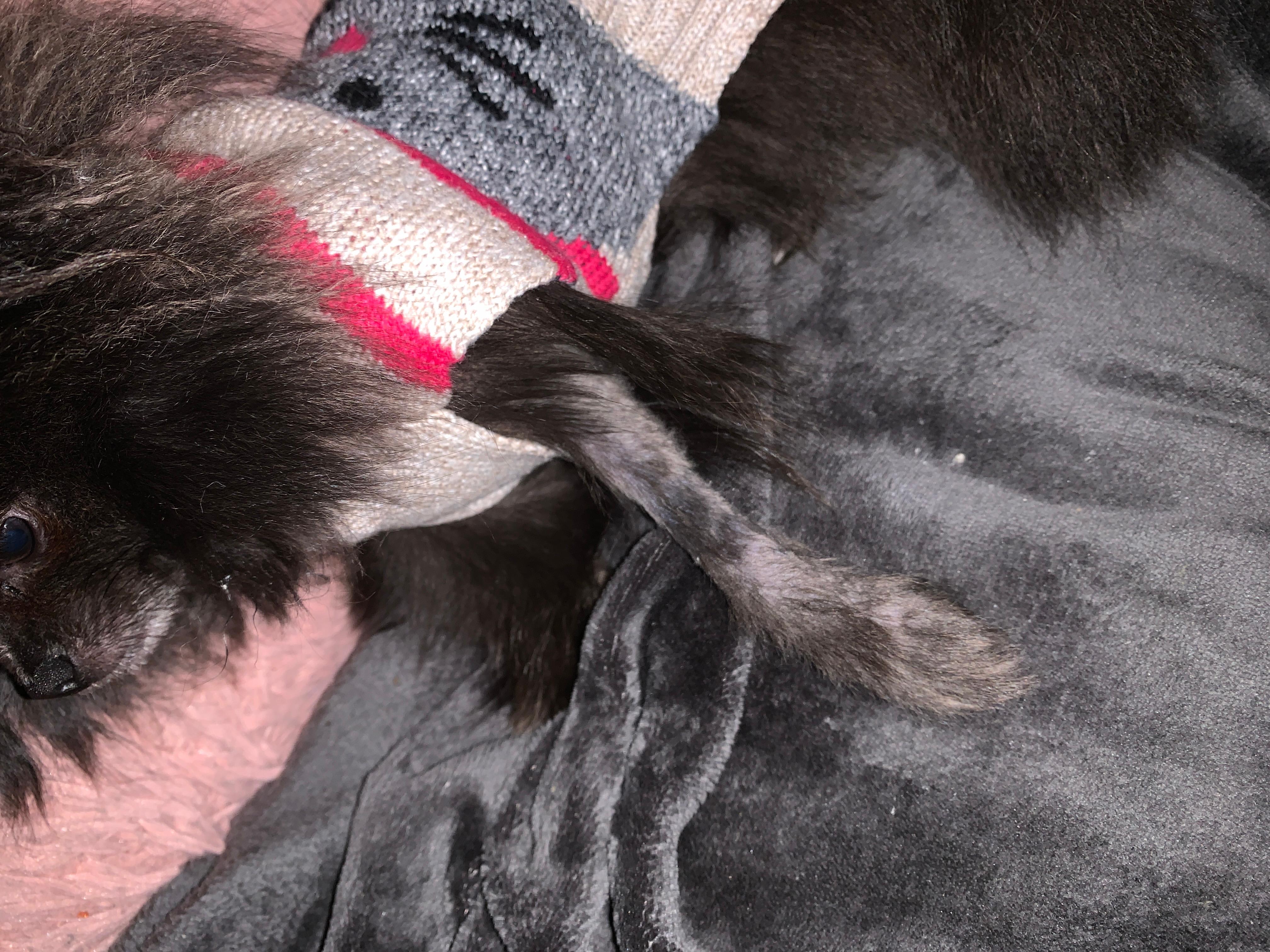 Question details sensitive content